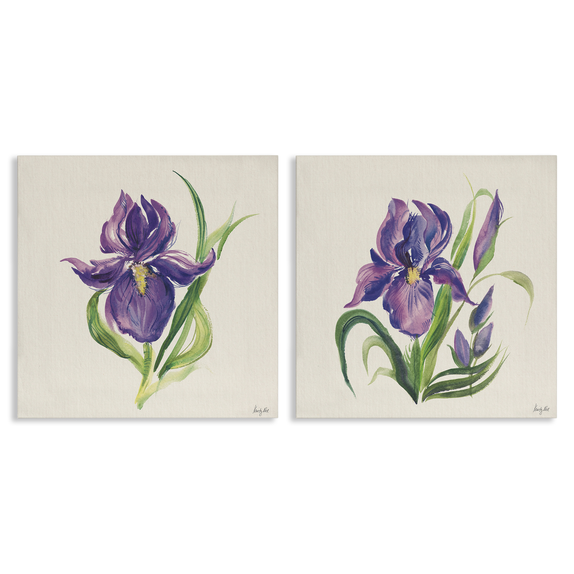 Stupell Industries Purple Iris in Bloom Plants & Flowers Painting Wrapped Canvas Art Print Wall Art, 24 x 24, Set of 2