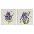 thumbnail image 1 of Stupell Industries Purple Iris in Bloom Plants & Flowers Painting Wrapped Canvas Art Print Wall Art, 24 x 24, Set of 2, 1 of 8