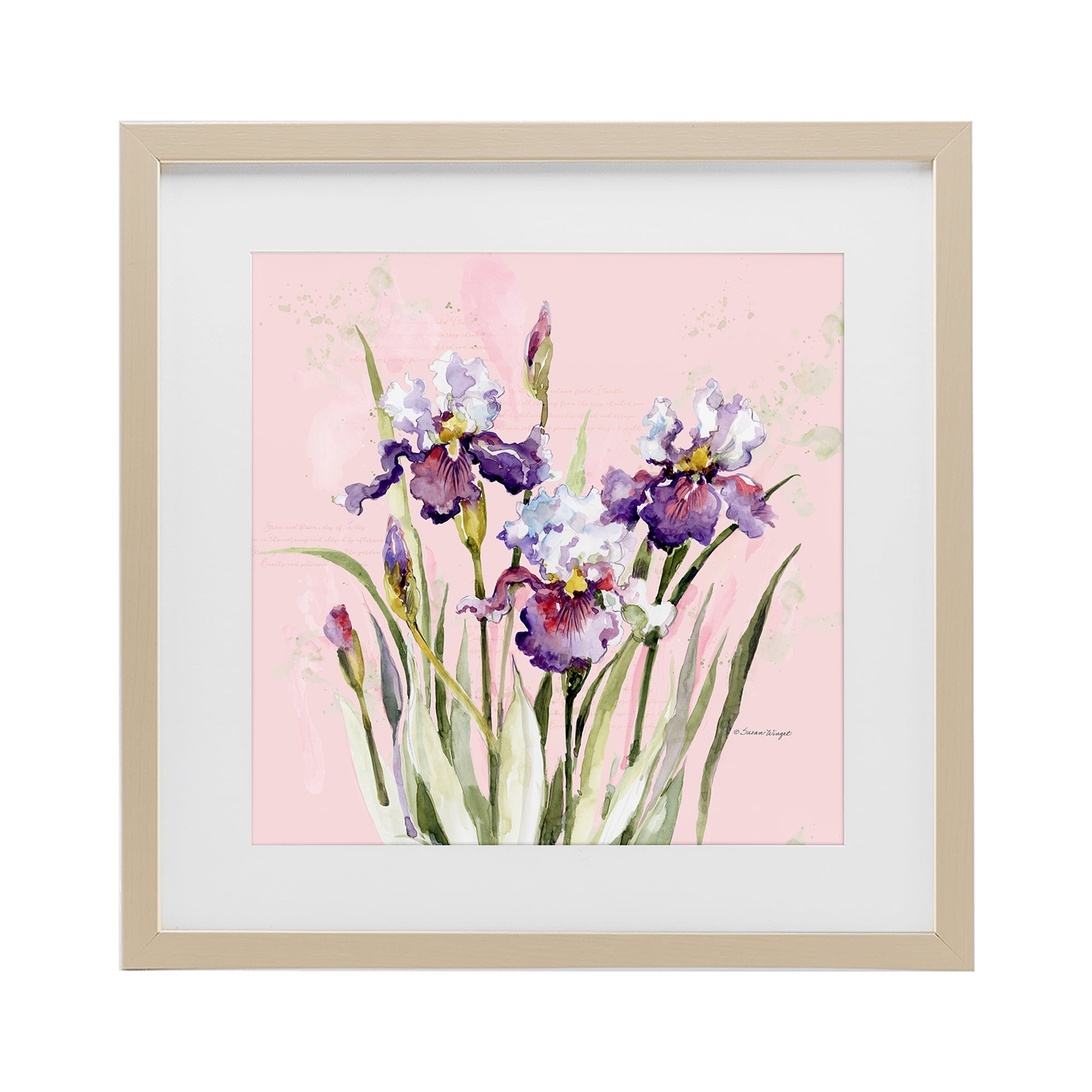 Stupell Industries Purple Irises on Pink Birch Framed Print Under Glass, design by Susan Winget