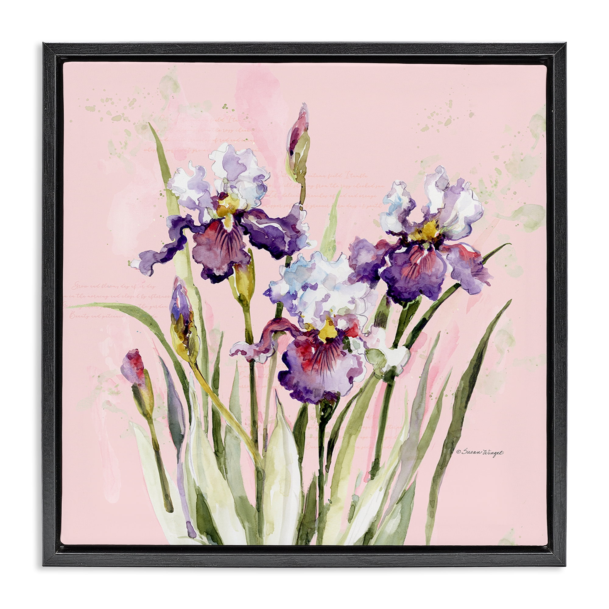 Stupell Industries Purple Irises on Pink Black Framed Floater Canvas Wall Art, design by Susan Winget