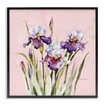 thumbnail image 1 of Stupell Industries Traditional Purple Irises on Pink Black Framed Giclee Art, 12 x 12, by Susan Winget, 1 of 8