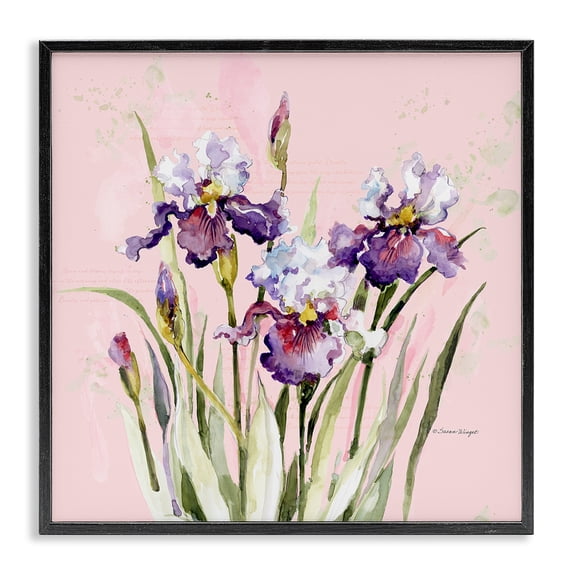 Stupell Industries Traditional Purple Irises on Pink Black Framed Giclee Art, 12 x 12, by Susan Winget