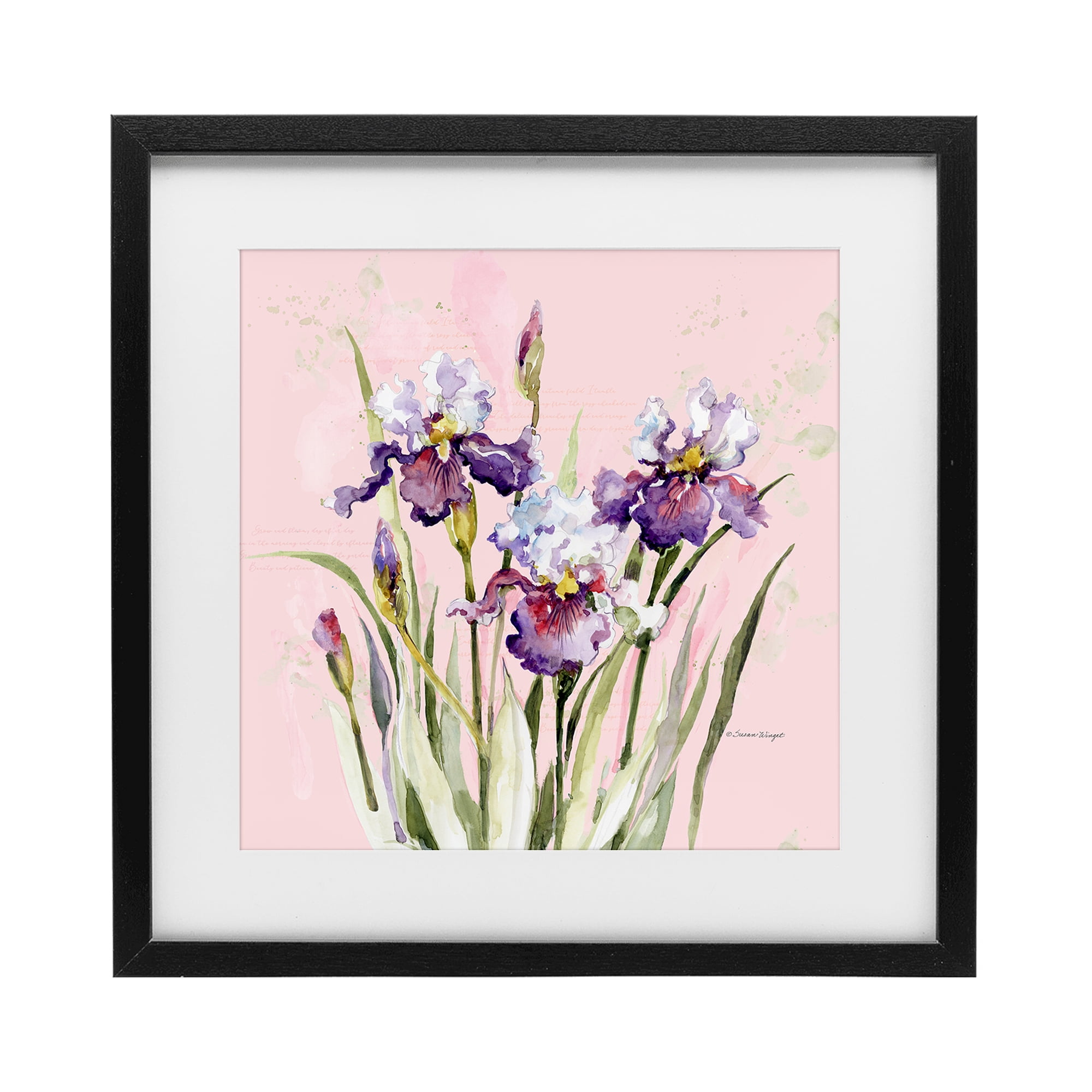 Stupell Industries Purple Irises on Pink Black Framed Print Under Glass, design by Susan Winget