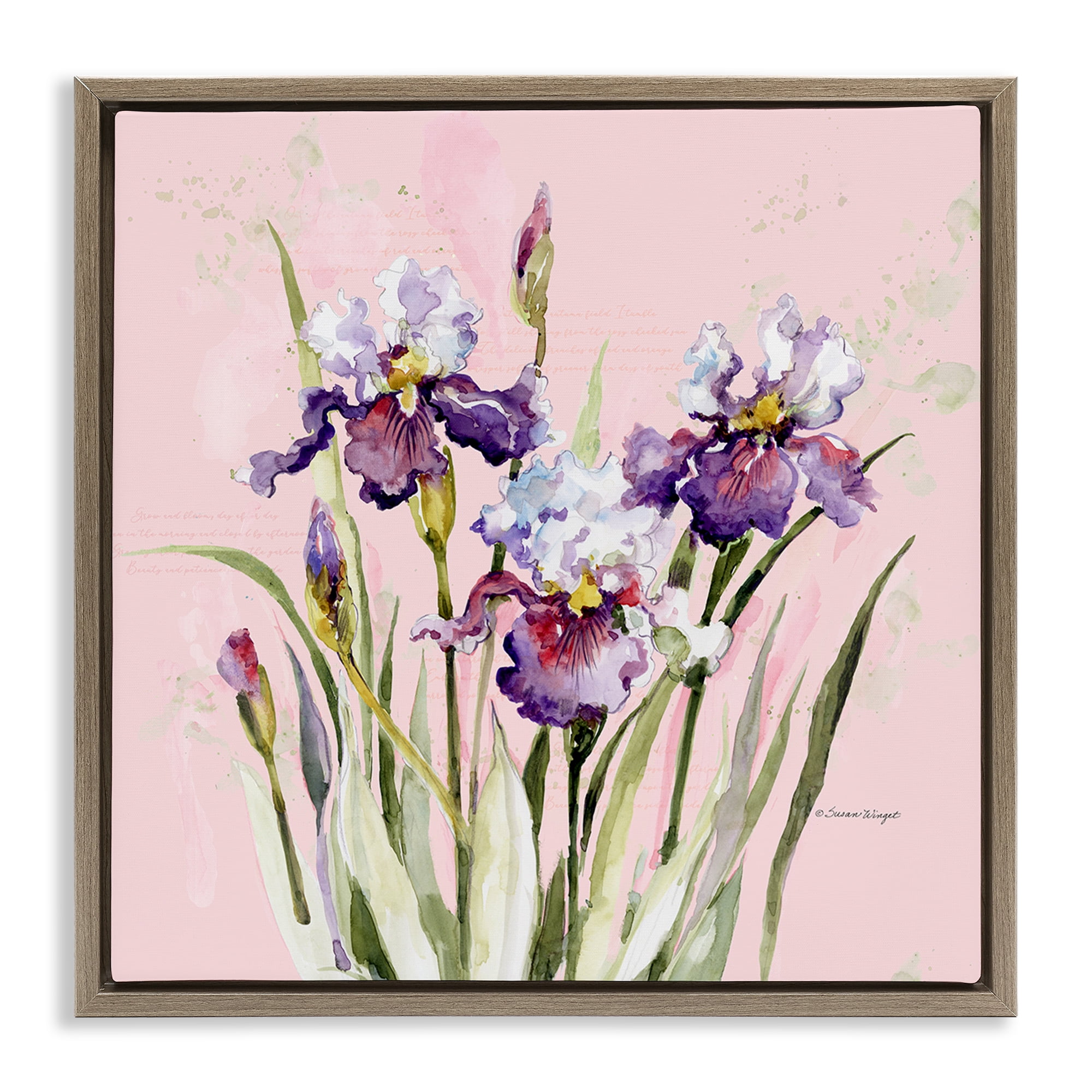 Stupell Industries Purple Irises on Pink Brown Framed Floater Canvas Wall Art, design by Susan Winget