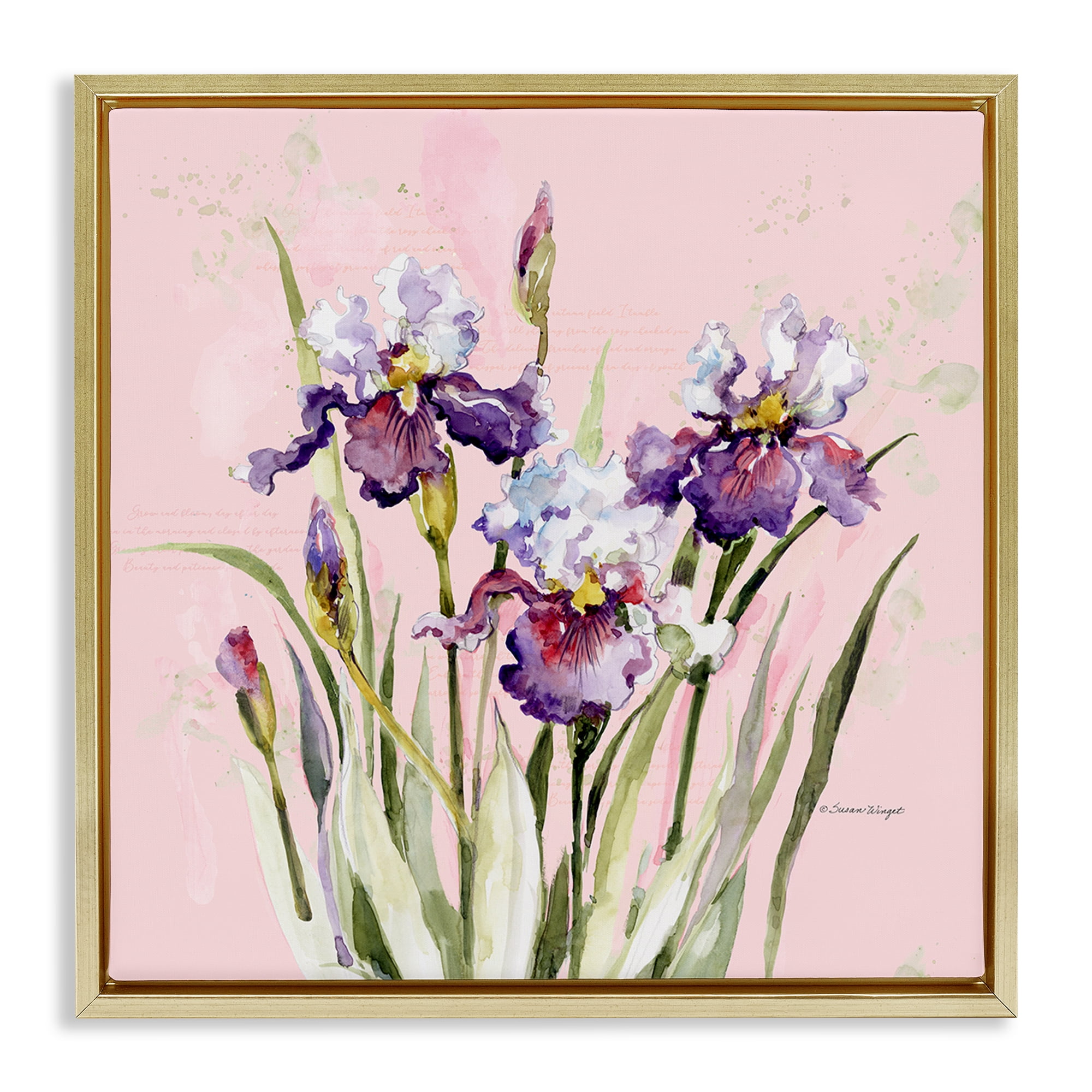Stupell Industries Purple Irises on Pink Gold Framed Floater Canvas Wall Art, design by Susan Winget