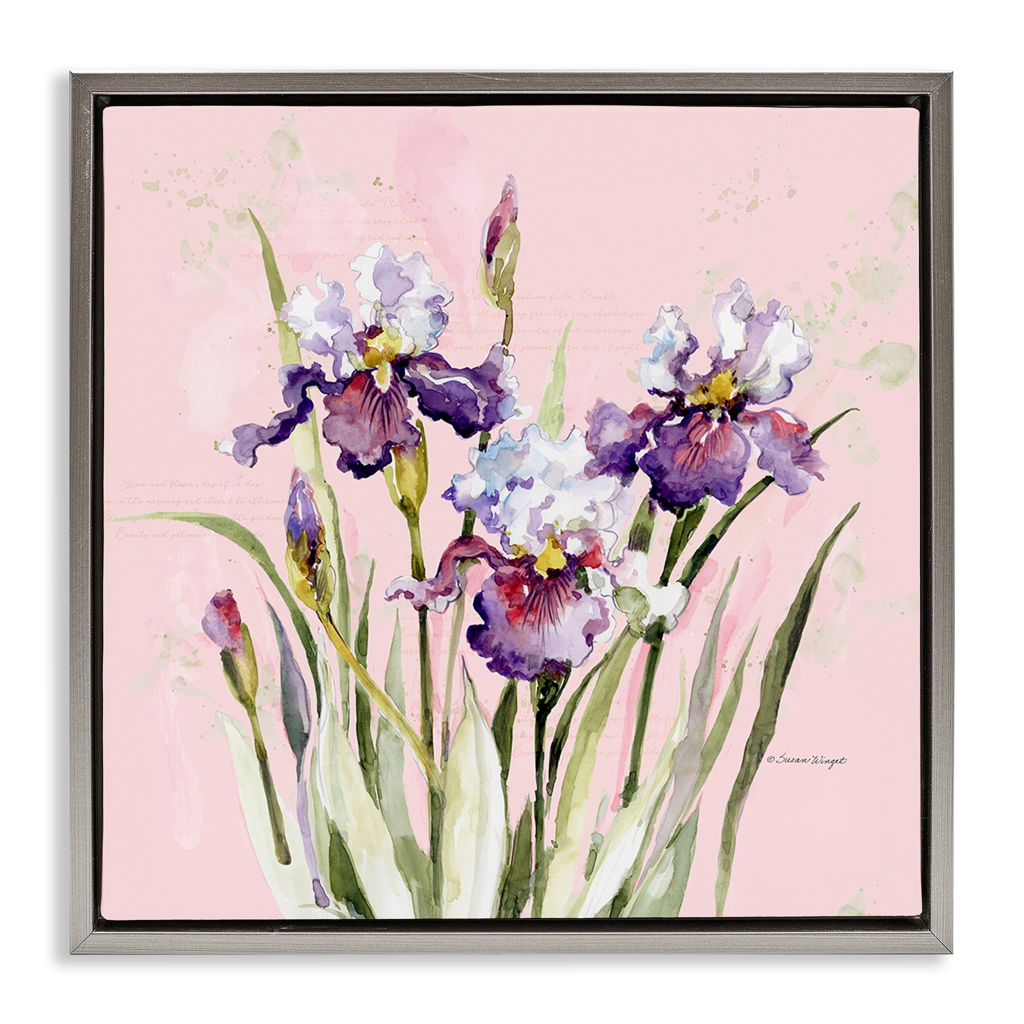 Stupell Industries Purple Irises on Pink Gray Framed Floater Canvas Wall Art, design by Susan Winget