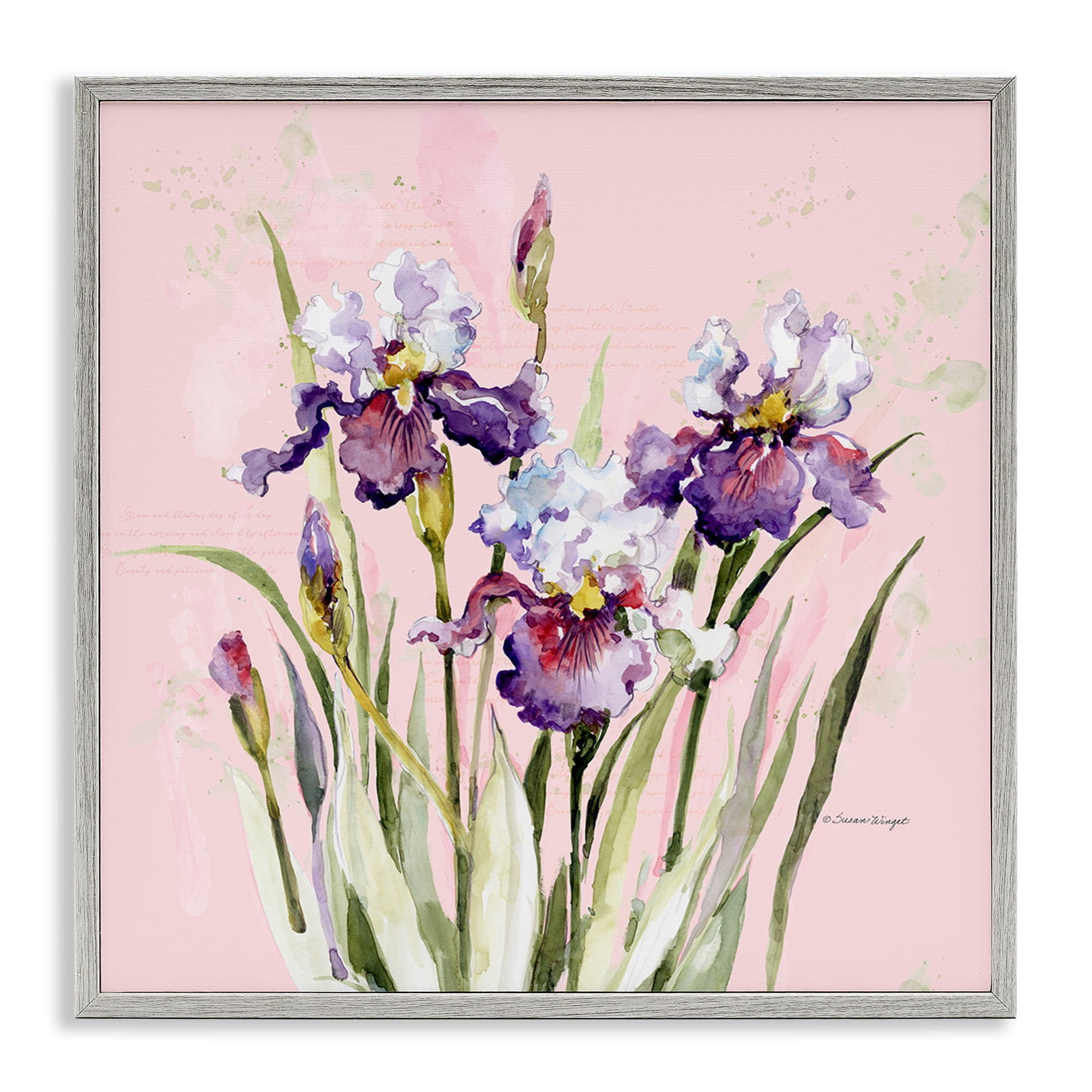 Stupell Industries Purple Irises on Pink Gray Framed Giclee Art, design by Susan Winget