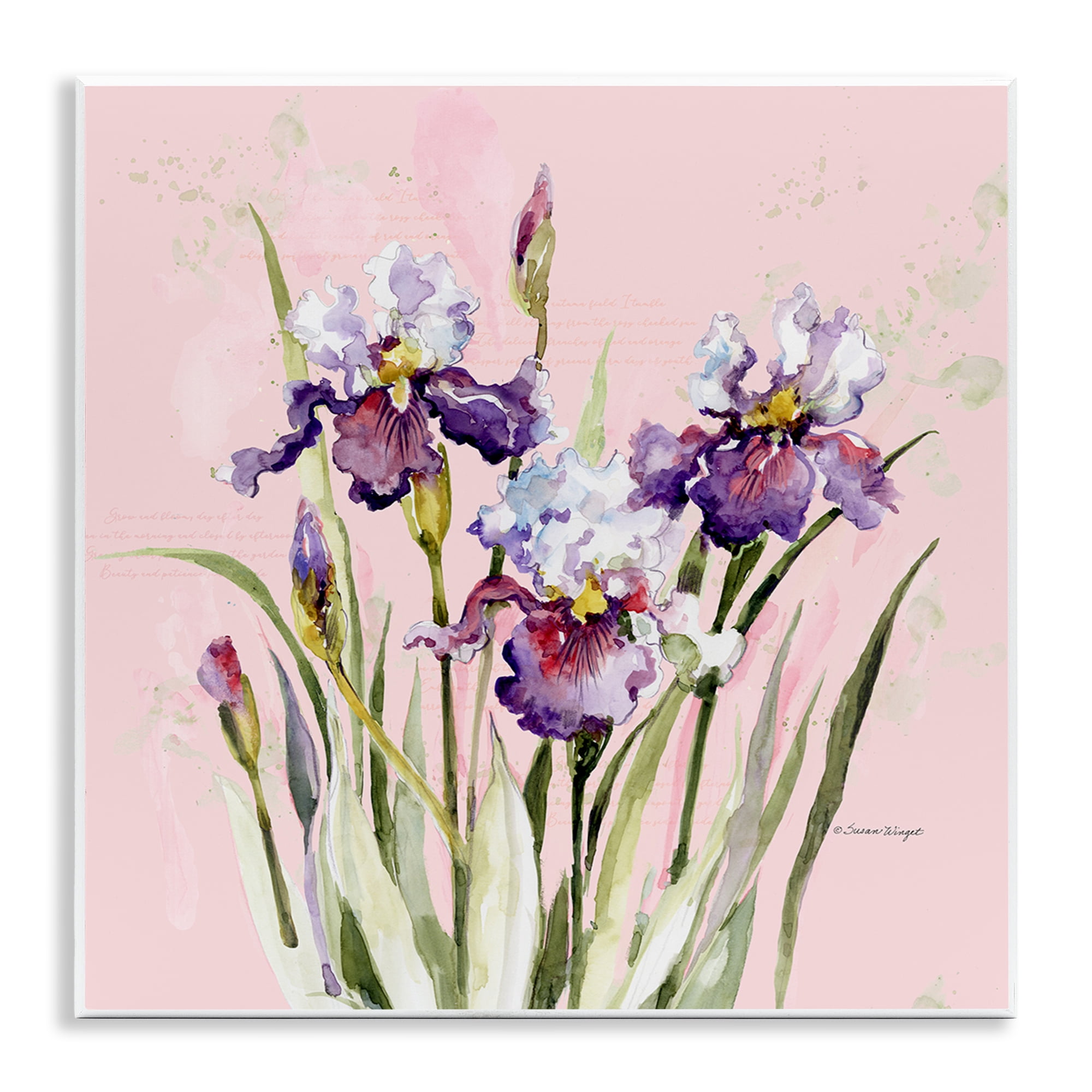 Stupell Industries Purple Irises on Pink Wall Plaque Art, design by Susan Winget