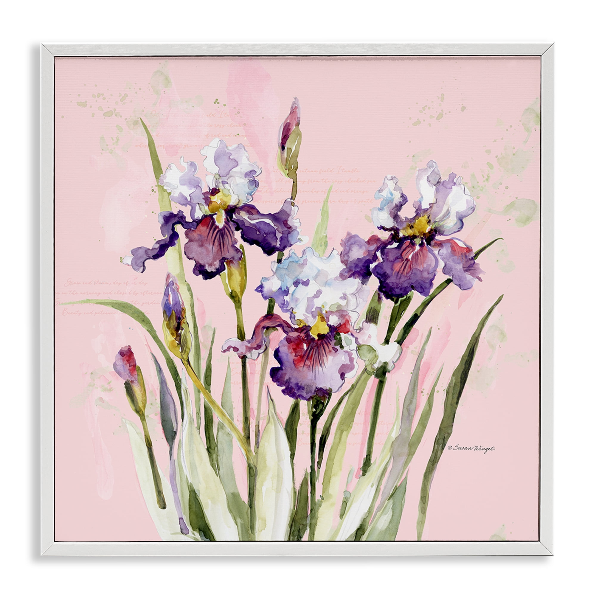 Stupell Industries Purple Irises on Pink White Framed Giclee Art, design by Susan Winget