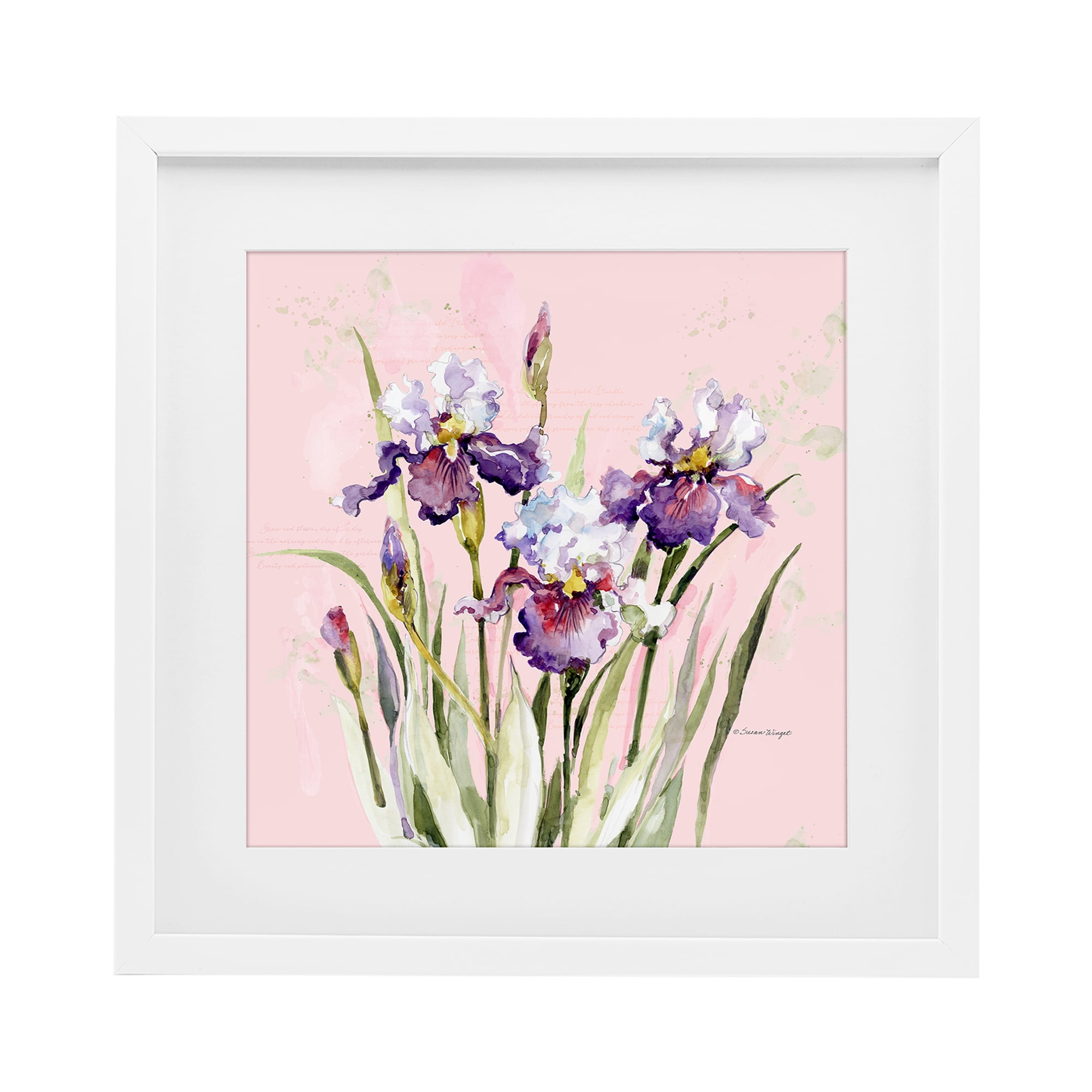 Stupell Industries Purple Irises on Pink White Framed Print Under Glass, design by Susan Winget