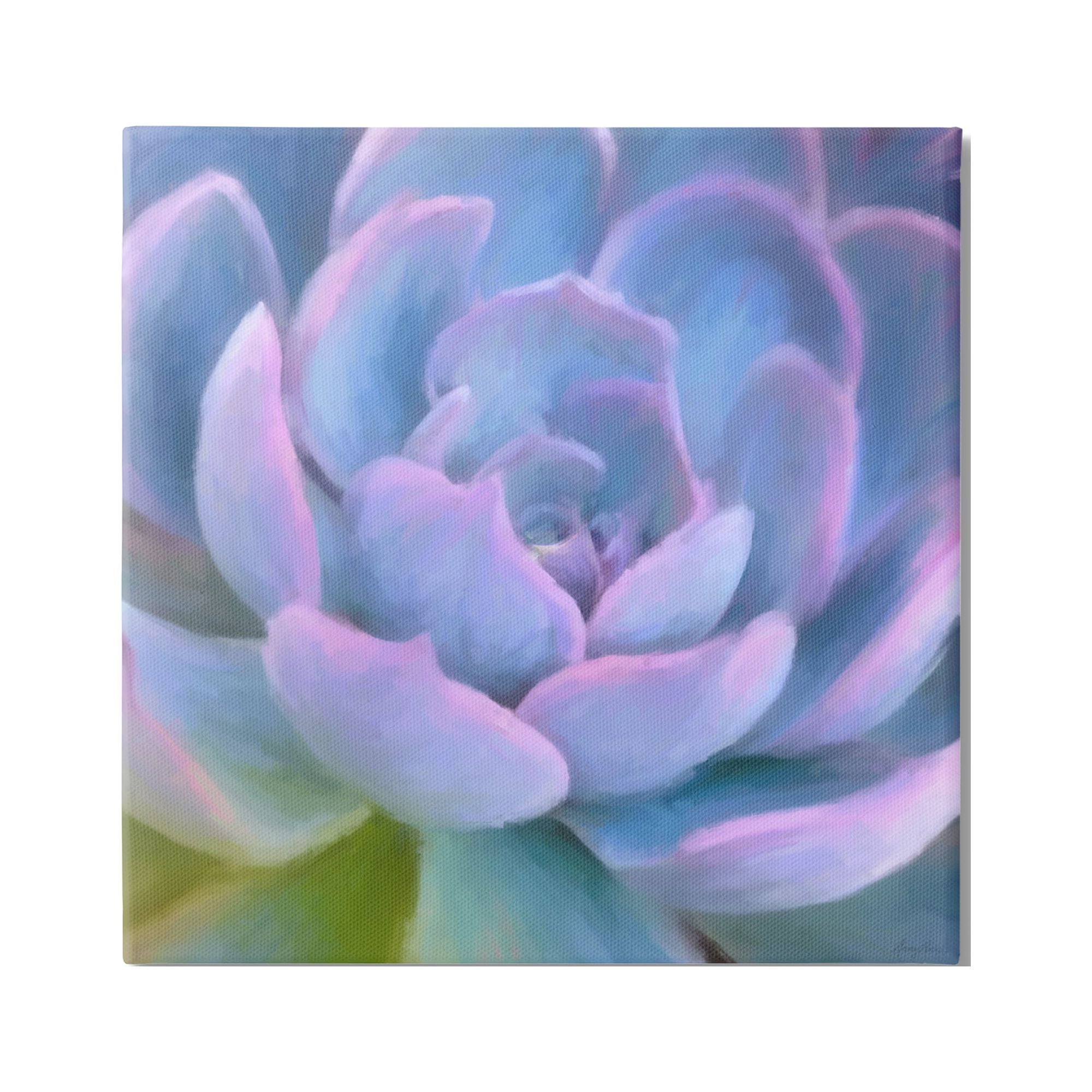 Stupell Industries Purple Modern Succulent Botanical & Floral Painting Gallery Wrapped Canvas Print Wall Art, 24 x 24