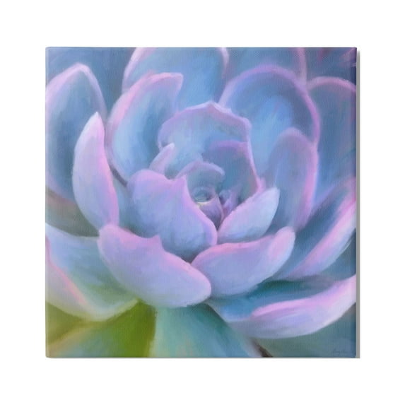 Stupell Industries Purple Modern Succulent Botanical & Floral Painting Gallery Wrapped Canvas Print Wall Art, 36 x 36