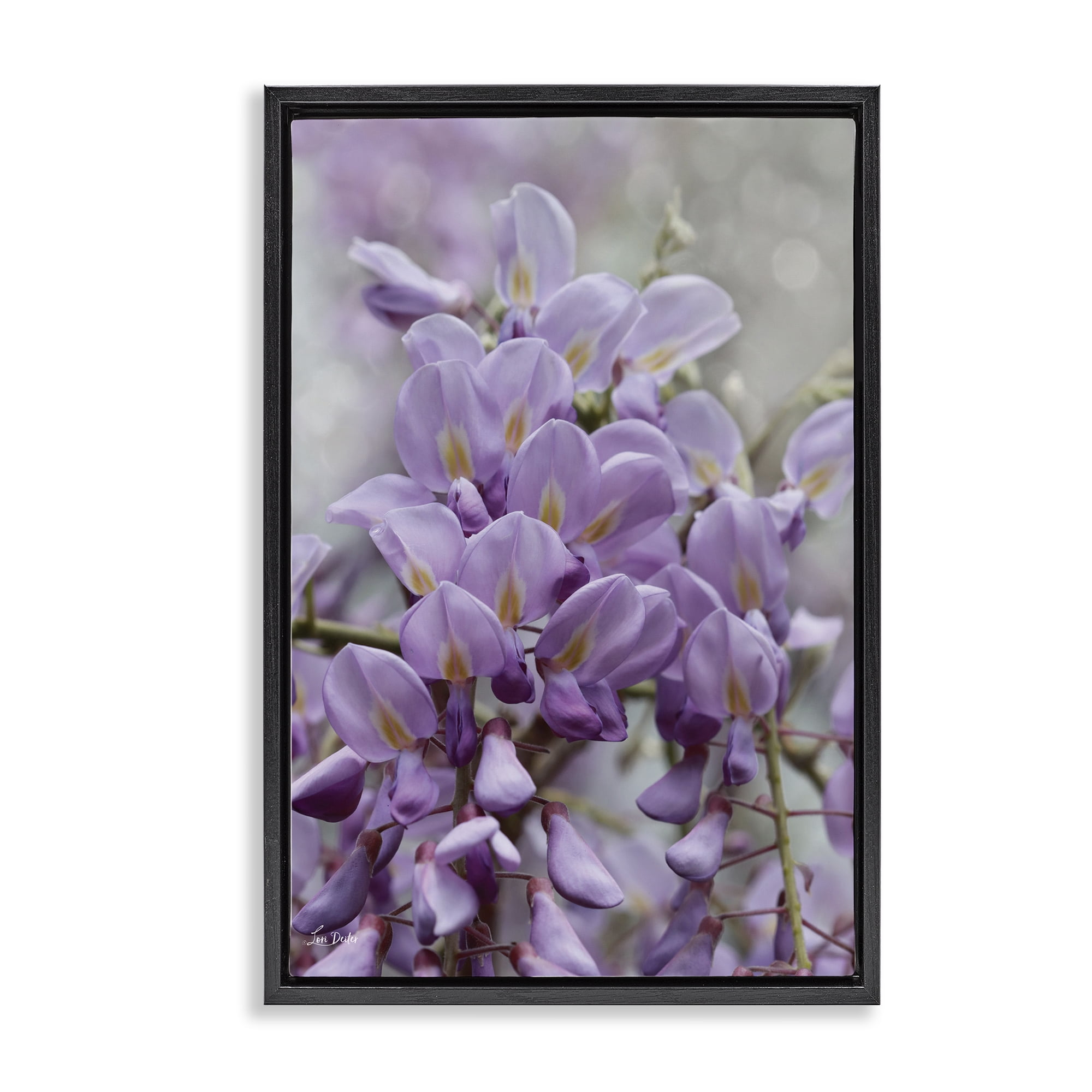 Stupell Industries Purple Orchid Petals Plants & Flowers Photography Black Floater Framed Canvas Art Print Wall Art, 17 x 25