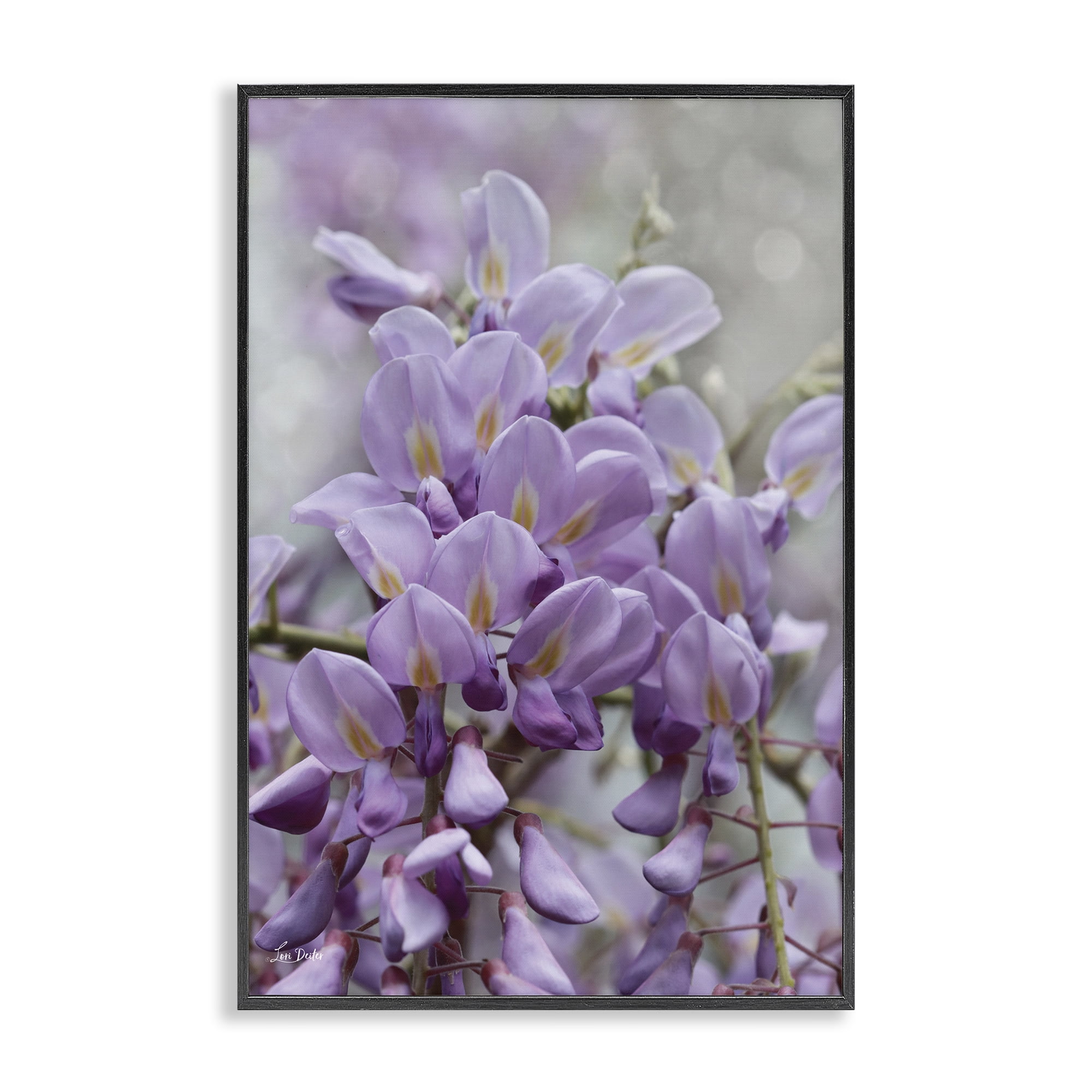 Stupell Industries Purple Orchid Petals Plants & Flowers Photography Black Framed Art Print Wall Art, 16 x 24