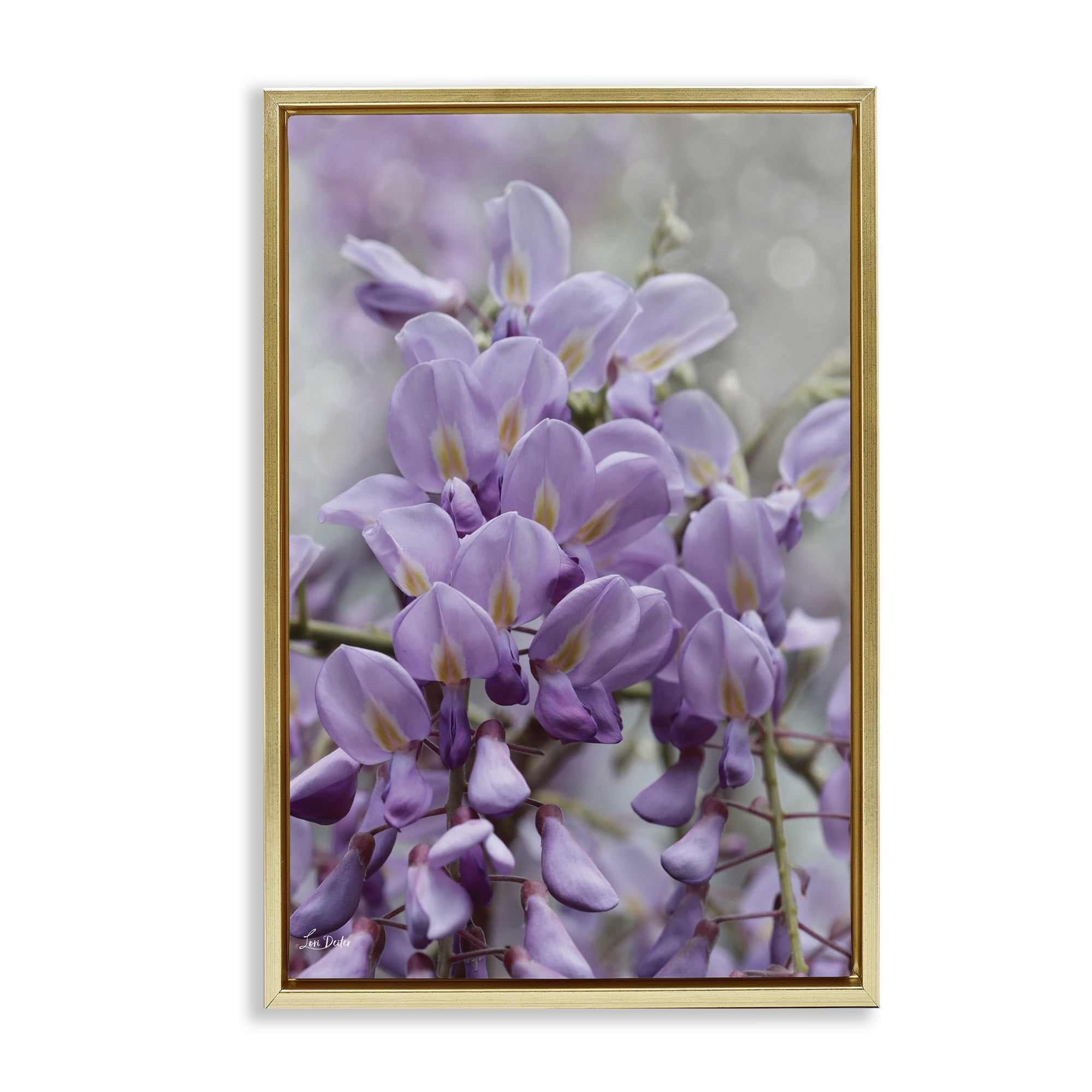 Stupell Industries Purple Orchid Petals Plants & Flowers Photography Gold Floater Framed Canvas Art Print Wall Art, 21 x 31