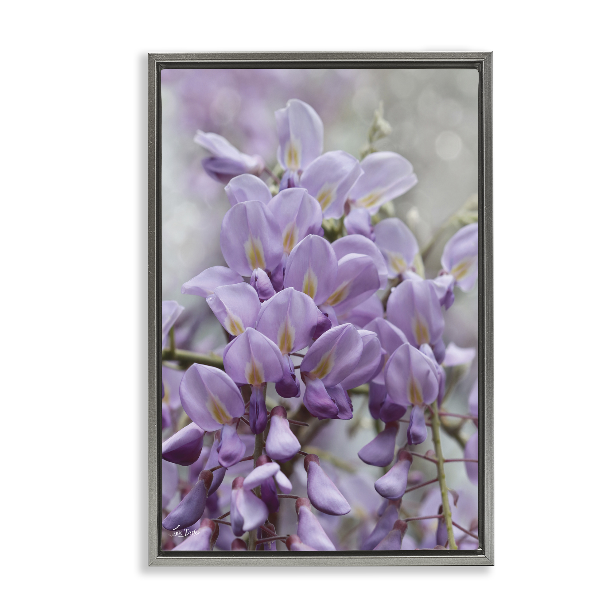 Stupell Industries Purple Orchid Petals Plants & Flowers Photography Gray Floater Framed Canvas Art Print Wall Art, 21 x 31