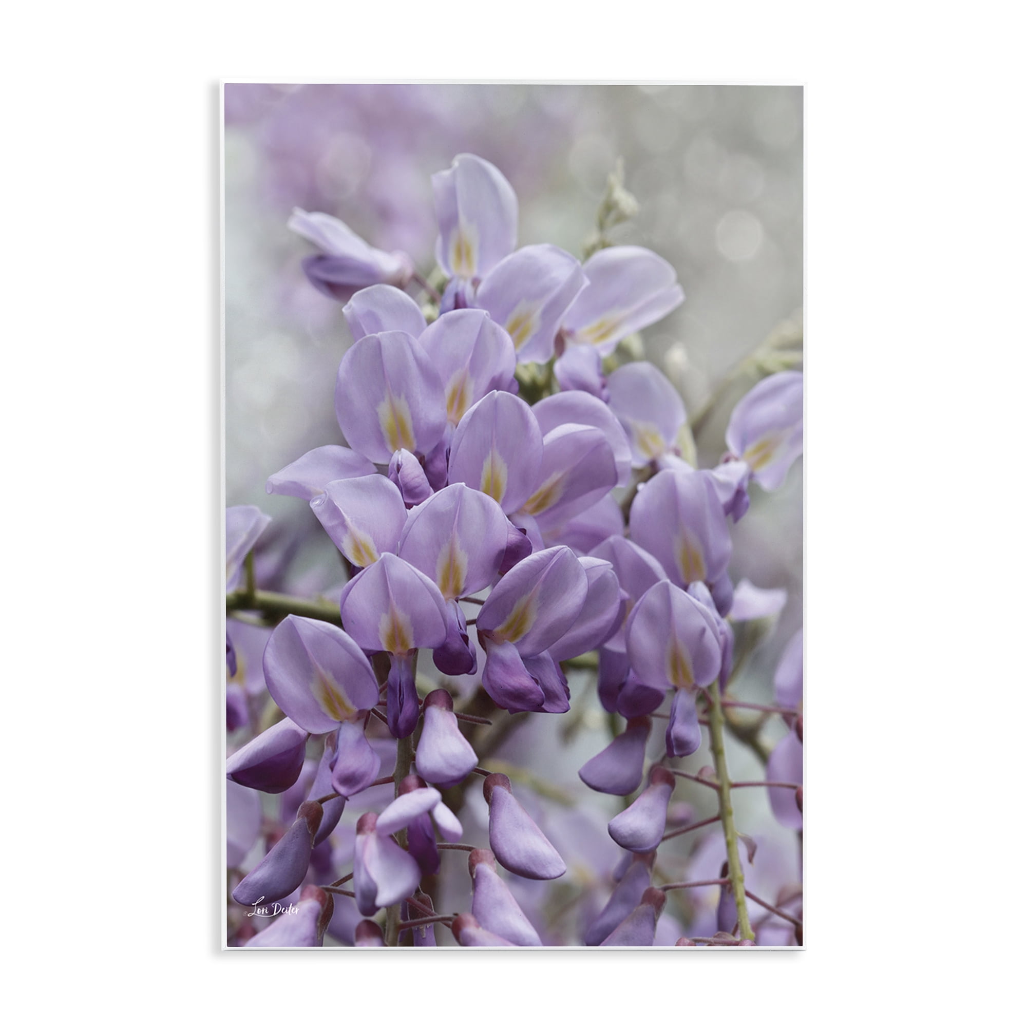 Stupell Industries Purple Orchid Petals Plants & Flowers Photography Unframed Art Print Wall Art, 13 x 19