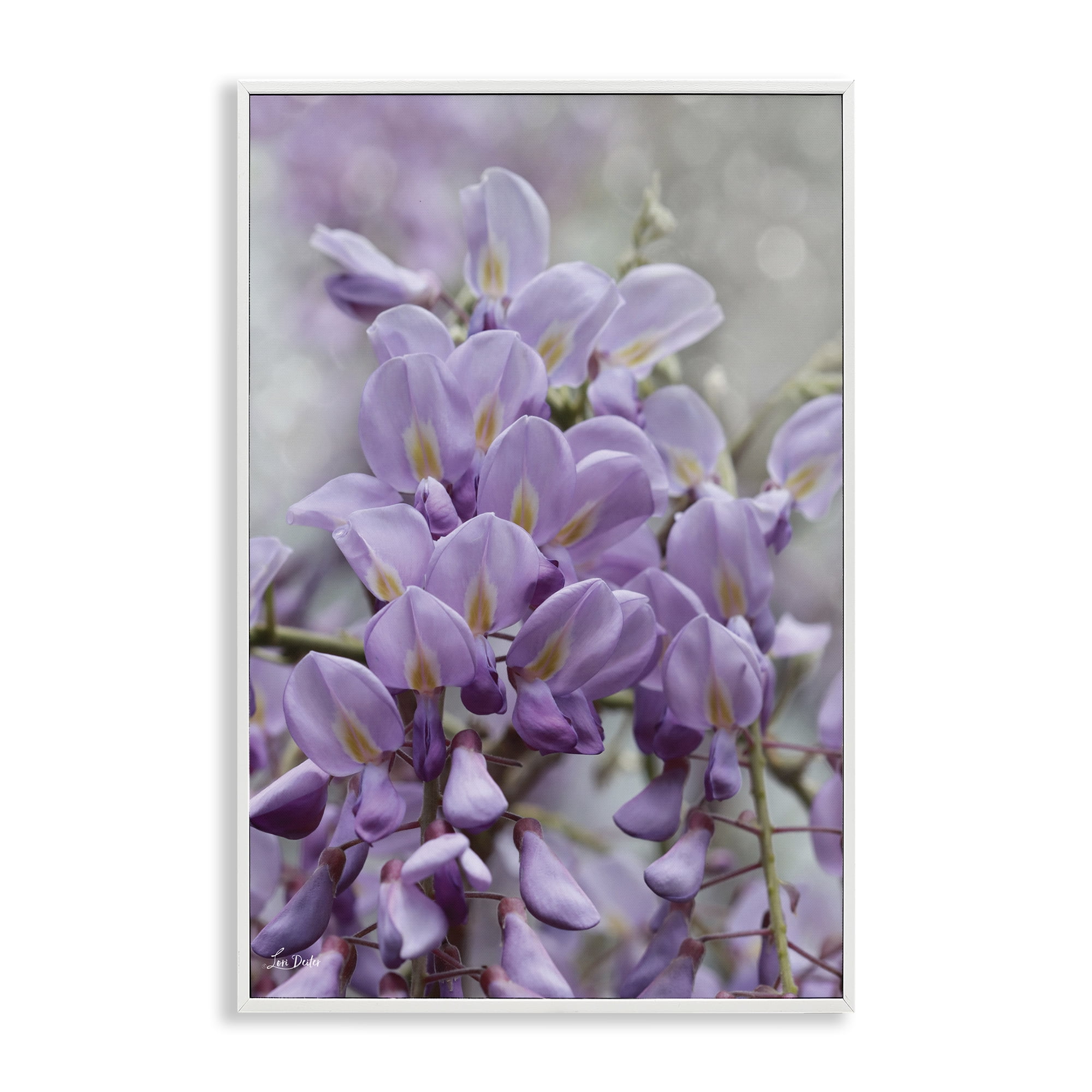 Stupell Industries Purple Orchid Petals Plants & Flowers Photography White Framed Art Print Wall Art, 20 x 30