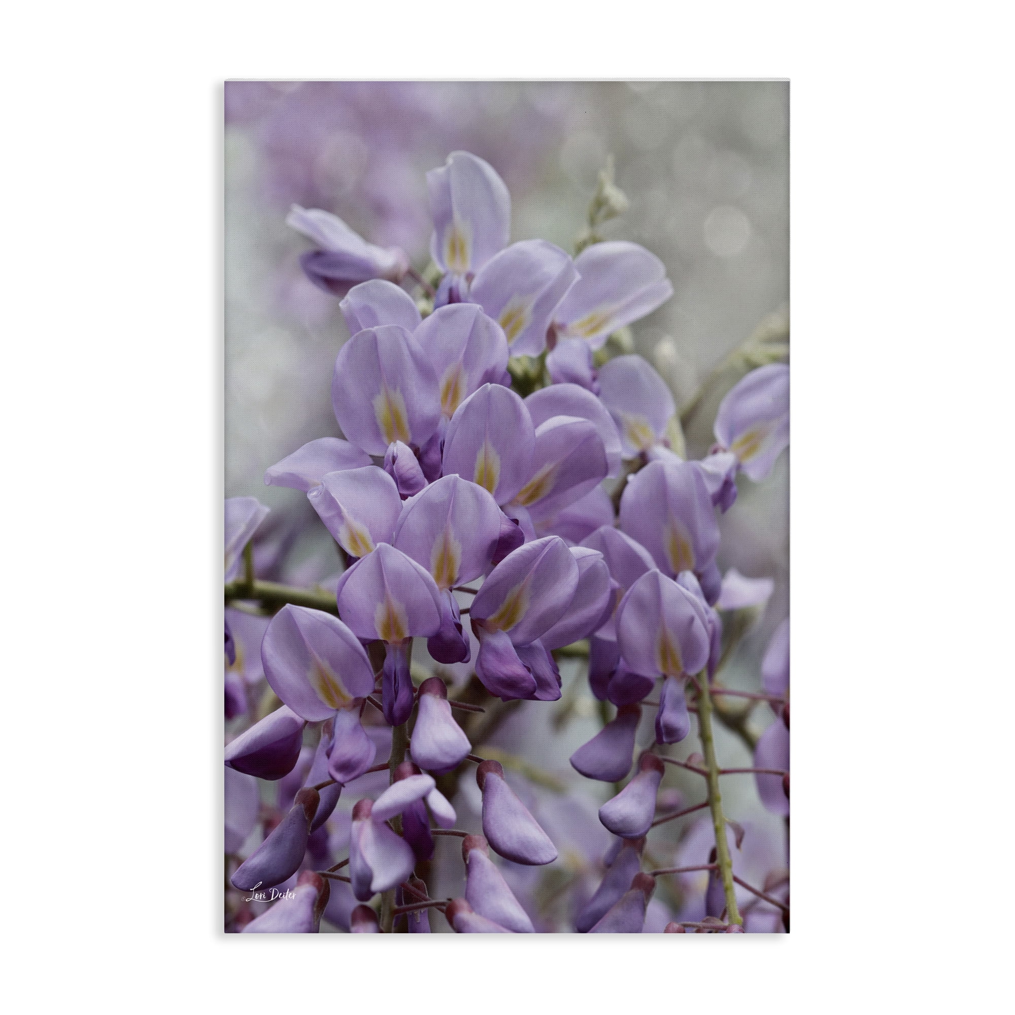 Stupell Industries Purple Orchid Petals Plants & Flowers Photography Wrapped Canvas Art Print Wall Art, 24 x 36