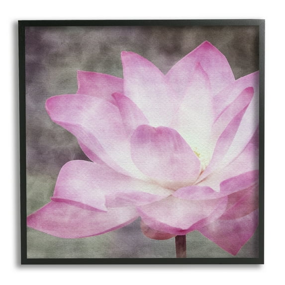 Stupell Industries Purple Pond Lily Botanical & Floral Painting Black Framed Art Print Wall Art, 24 x 24