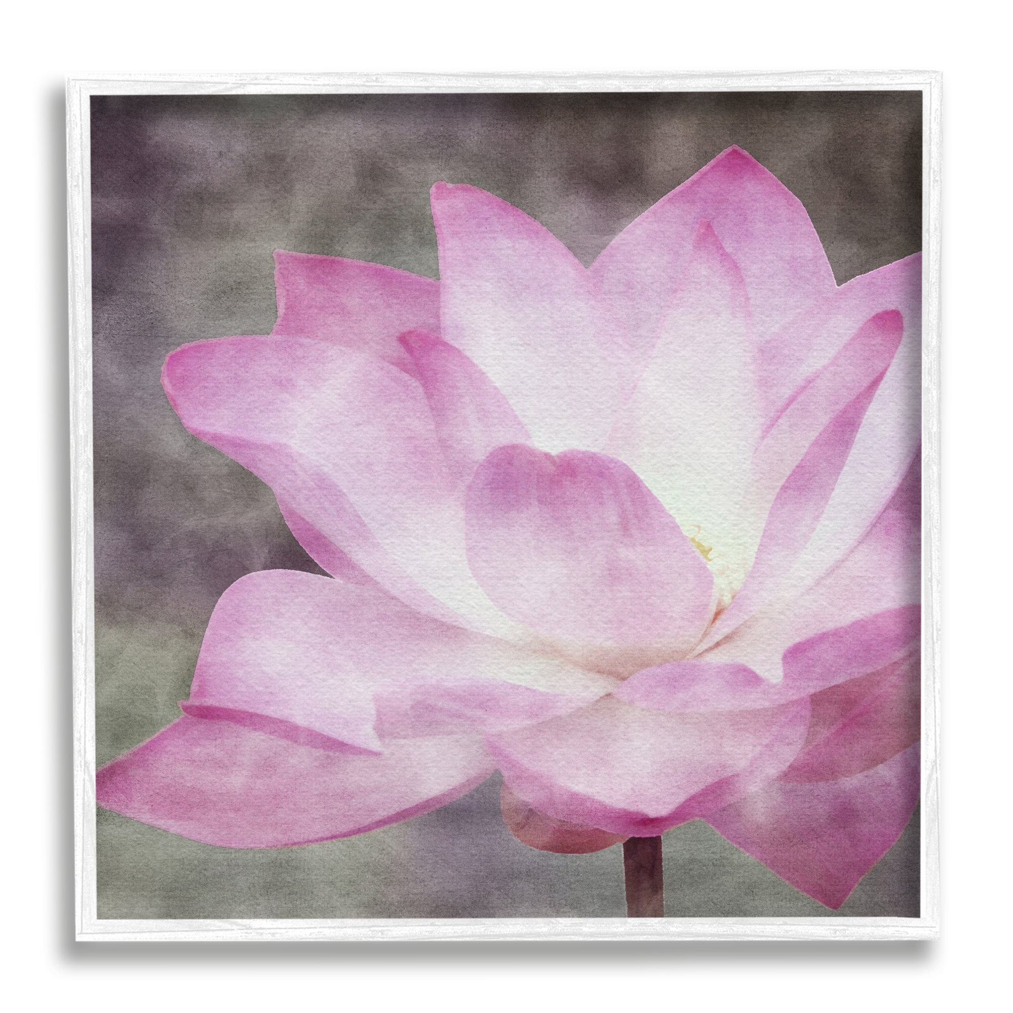 Stupell Industries Purple Pond Lily Botanical & Floral Painting White Framed Art Print Wall Art, 12 x 12
