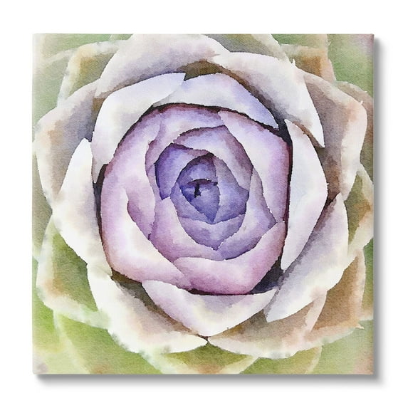 Stupell Industries Purple Succulent Petals Blooming Botanical & Floral Painting Gallery Wrapped Canvas Print Wall Art