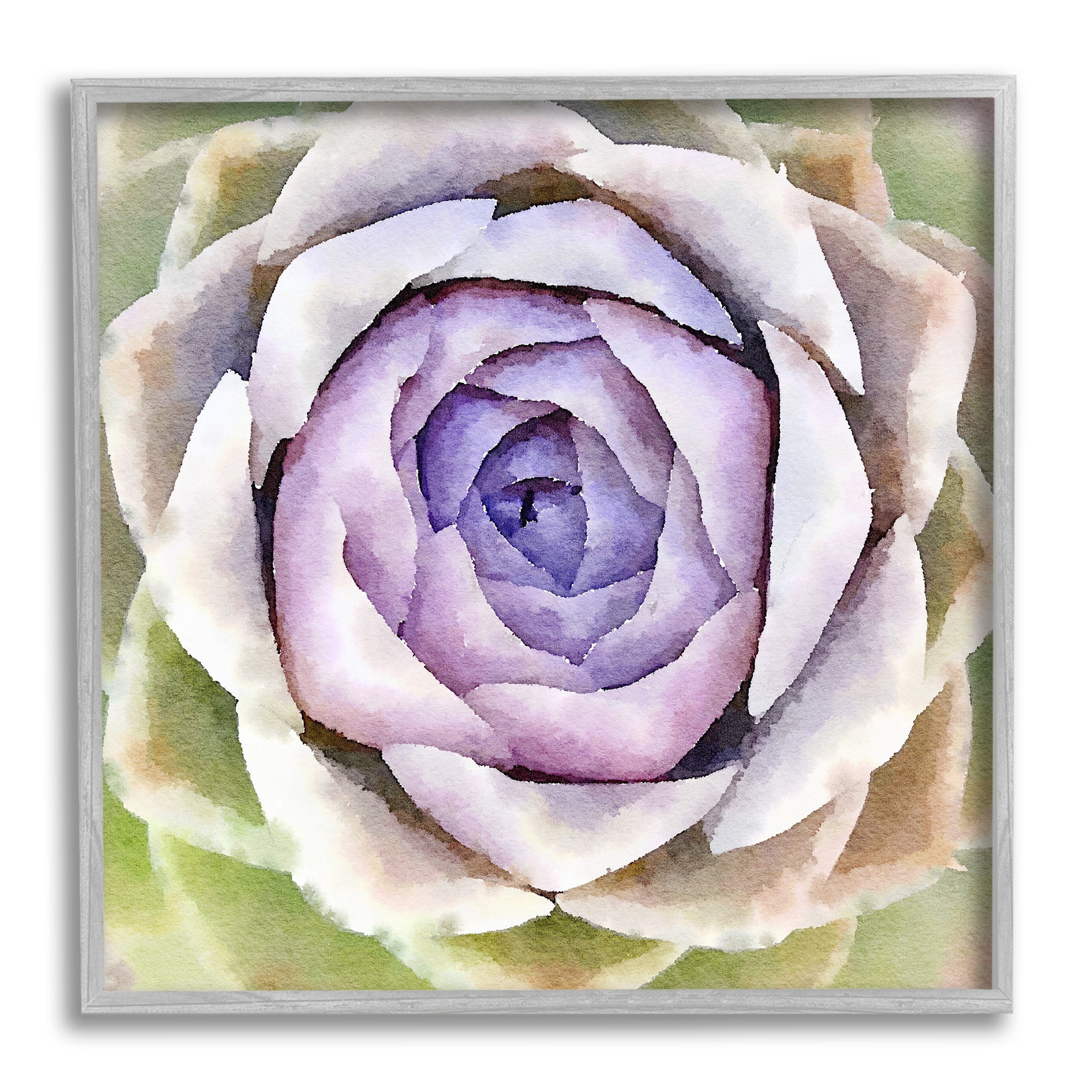 Stupell Industries Purple Succulent Petals Blooming Botanical & Floral Painting Gray Framed Art Print Wall Art