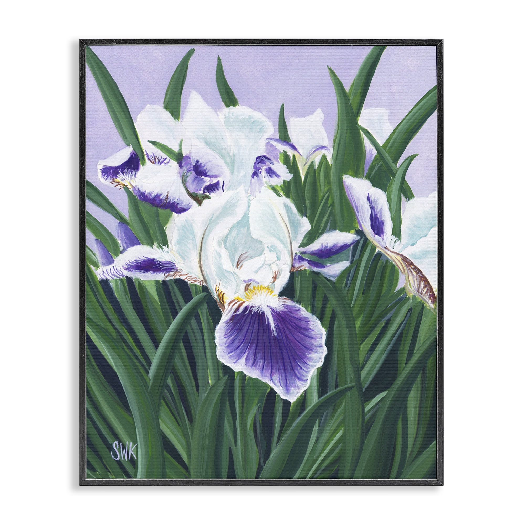 Stupell Industries Purple & White Irises Black Framed Giclee Art, design by Sarah Waldron Kimball