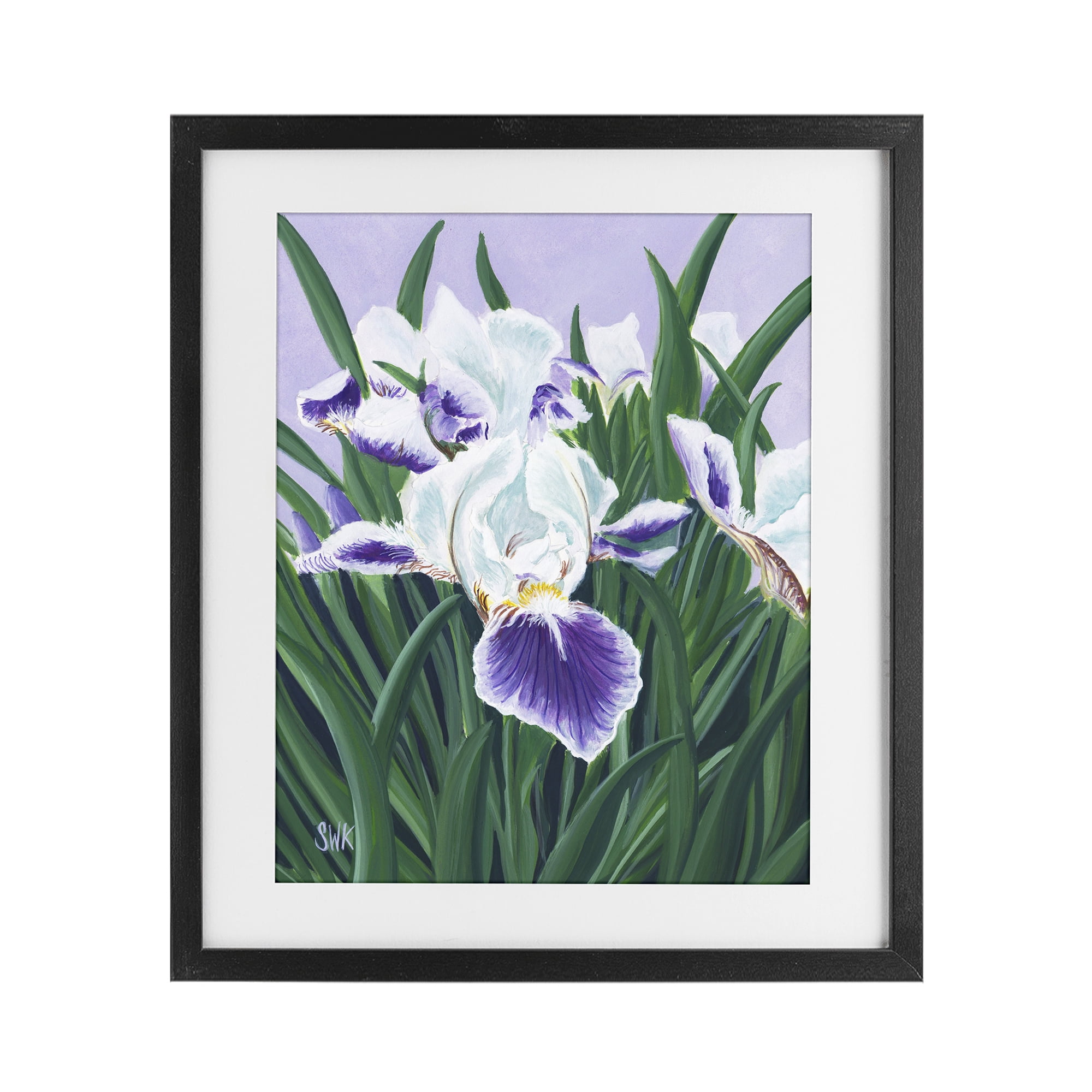 Stupell Industries Purple & White Irises Black Framed Print Under Glass, design by Sarah Waldron Kimball