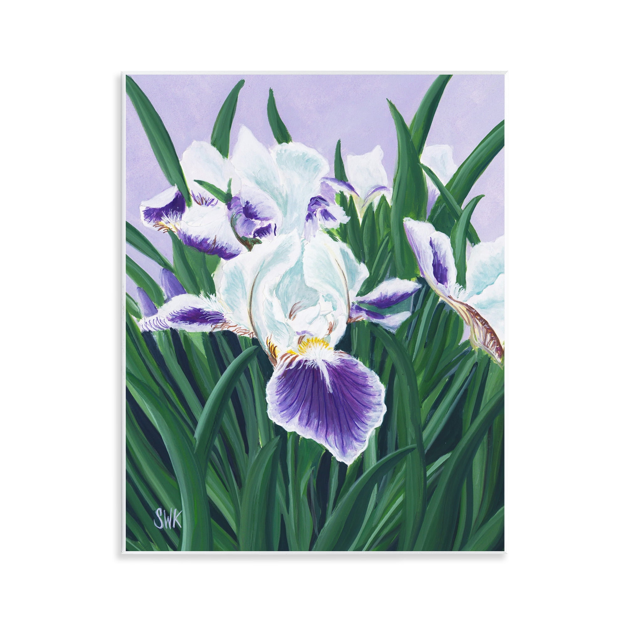 Stupell Industries Purple & White Irises Wall Plaque Art, design by Sarah Waldron Kimball