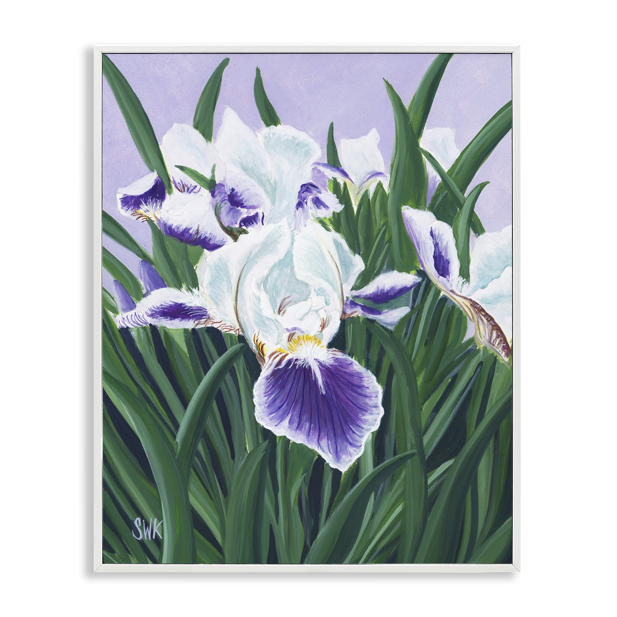 Stupell Industries Purple & White Irises White Framed Giclee Art, design by Sarah Waldron Kimball