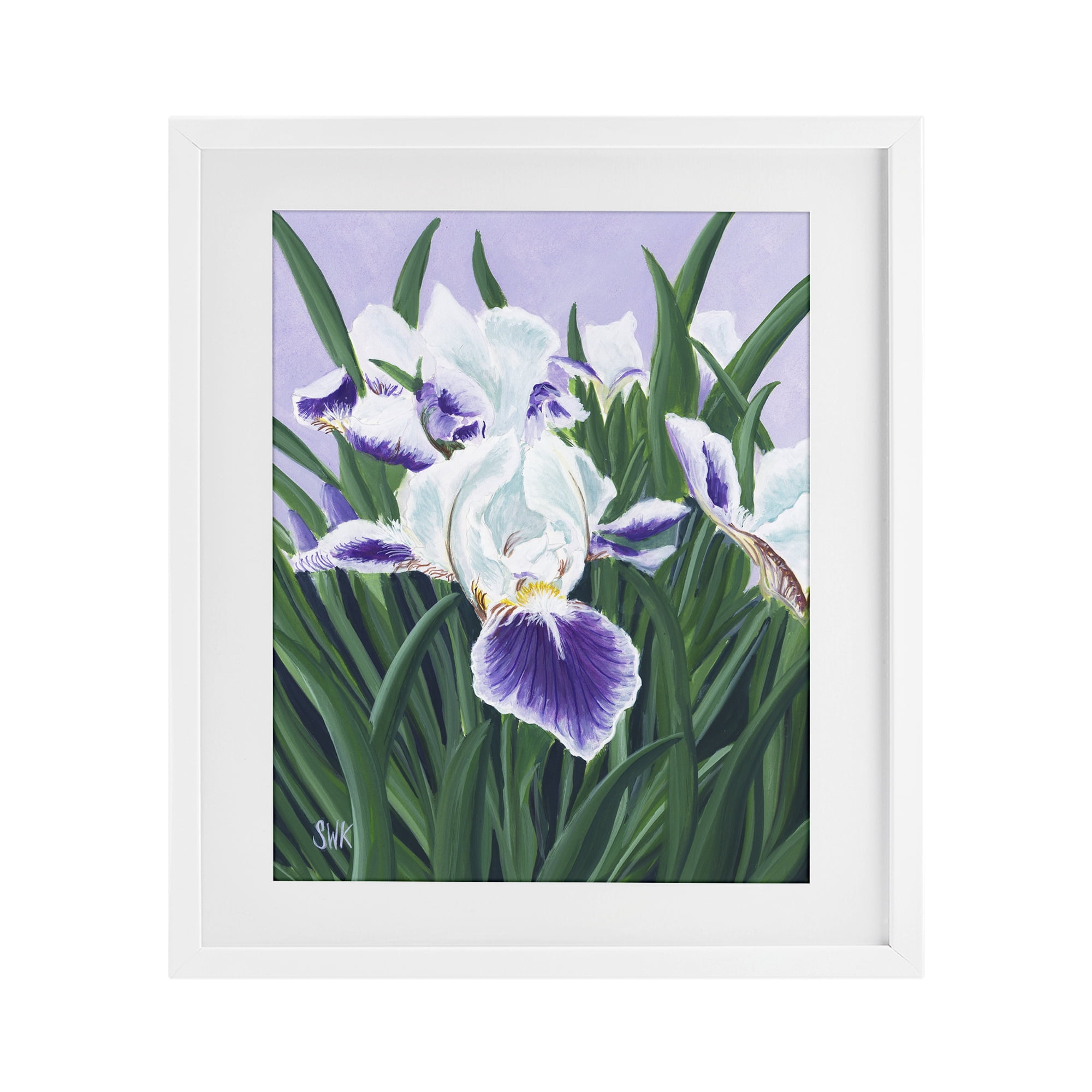 Stupell Industries Purple & White Irises White Framed Print Under Glass, design by Sarah Waldron Kimball
