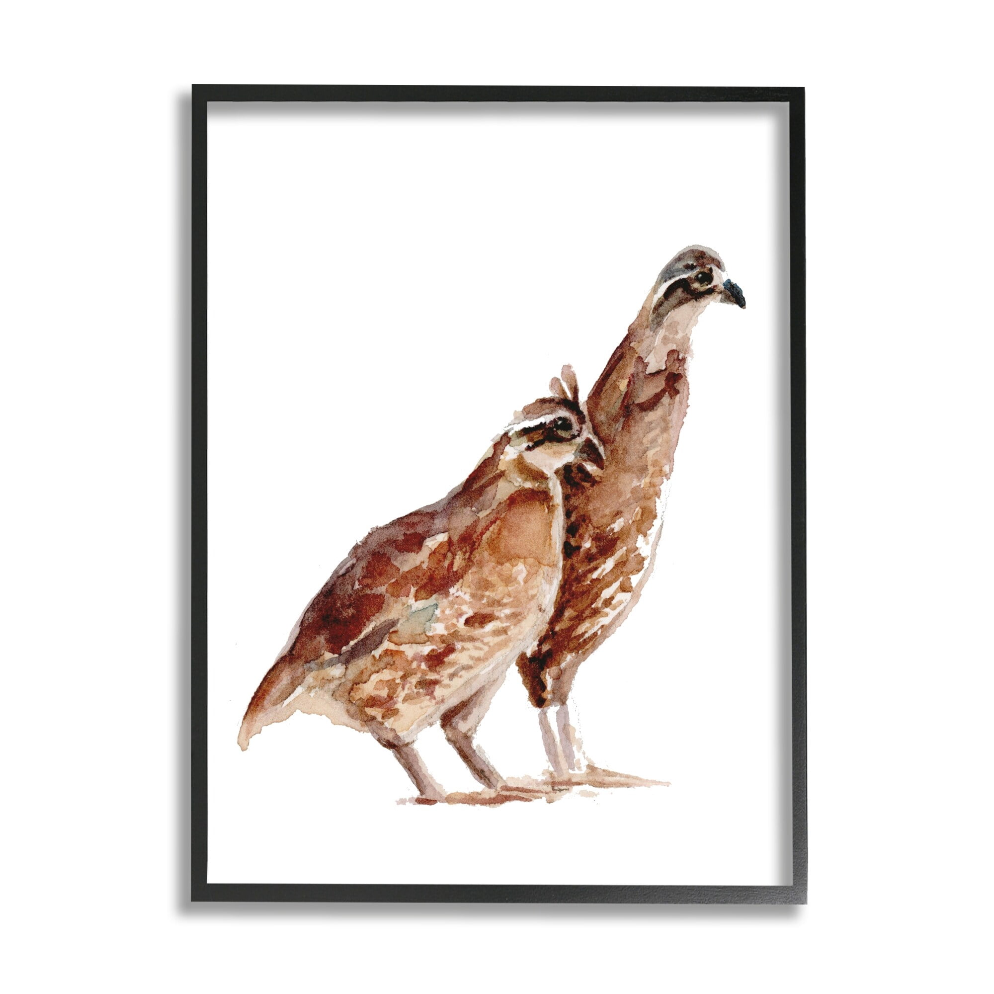 Stupell Industries Quail Bird Pair Children's Nursery Watercolor Painting Wildlife, 16 x 20,Design by Fox Hollow Studios