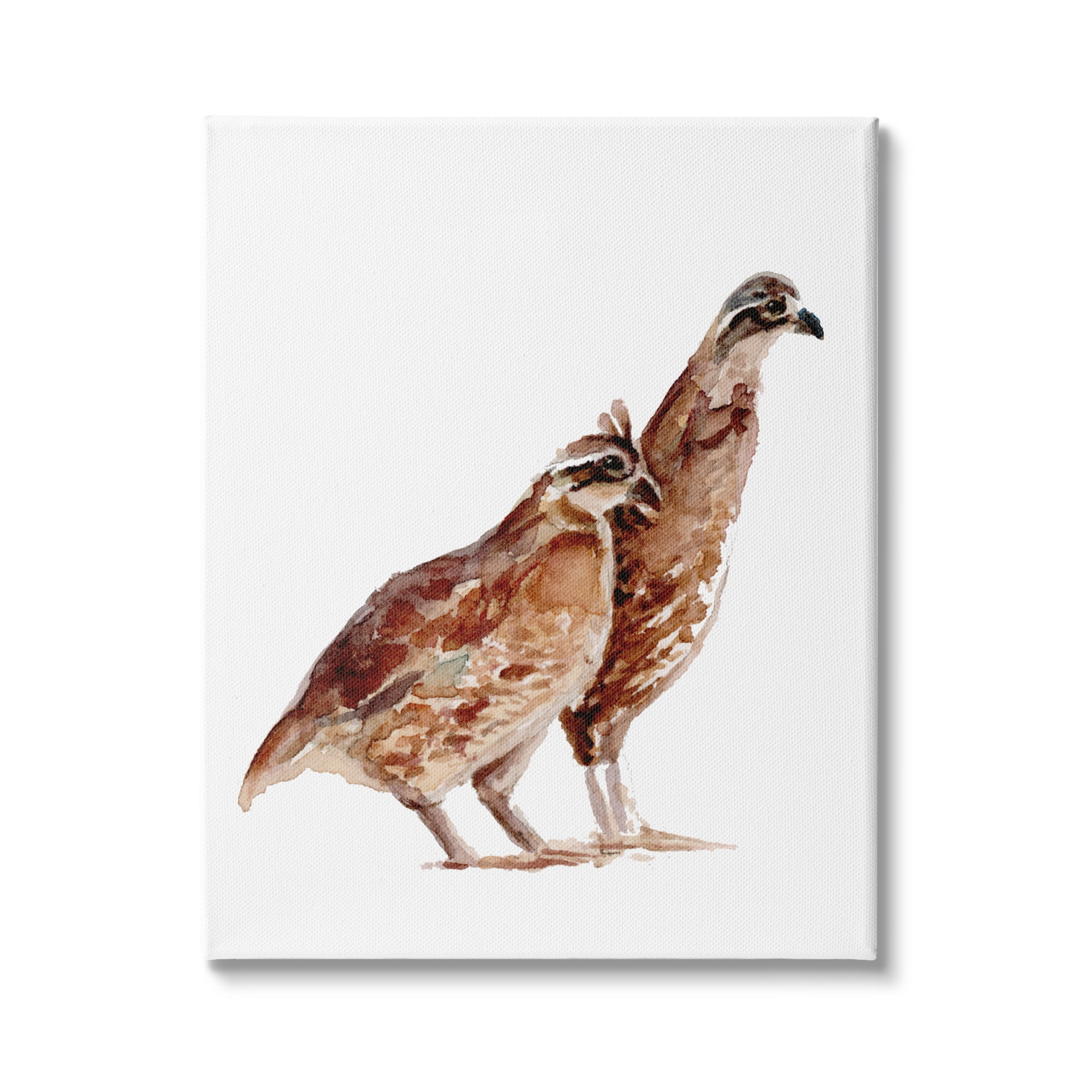 Stupell Industries Quail Bird Pair Children's Nursery Watercolor Painting Wildlife, 36 x 48,Design by Fox Hollow Studios