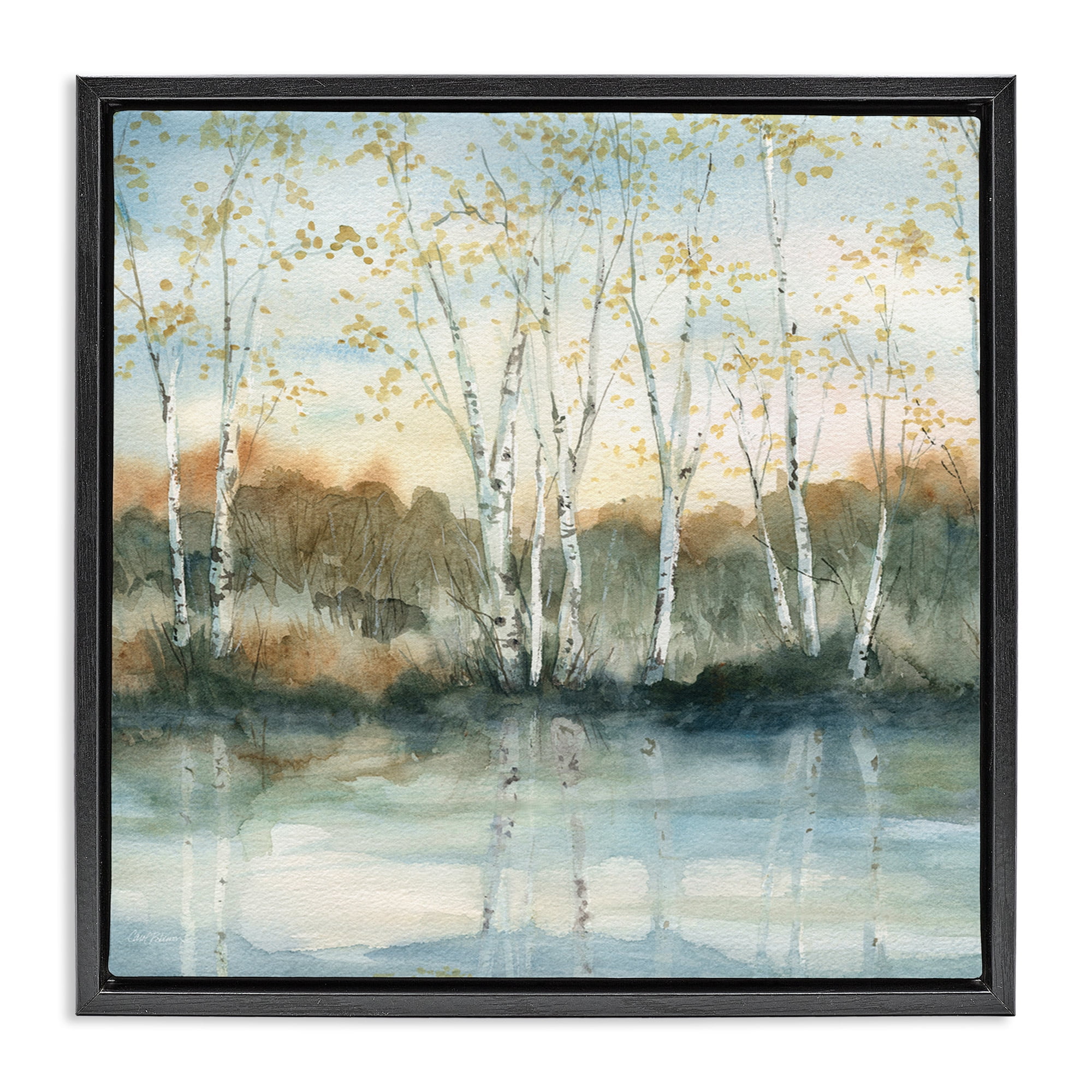 Stupell Industries Quaint Birch Tree Reflections Landscape Painting Black Floater Framed Canvas Art Print Wall Art, 25 x 25