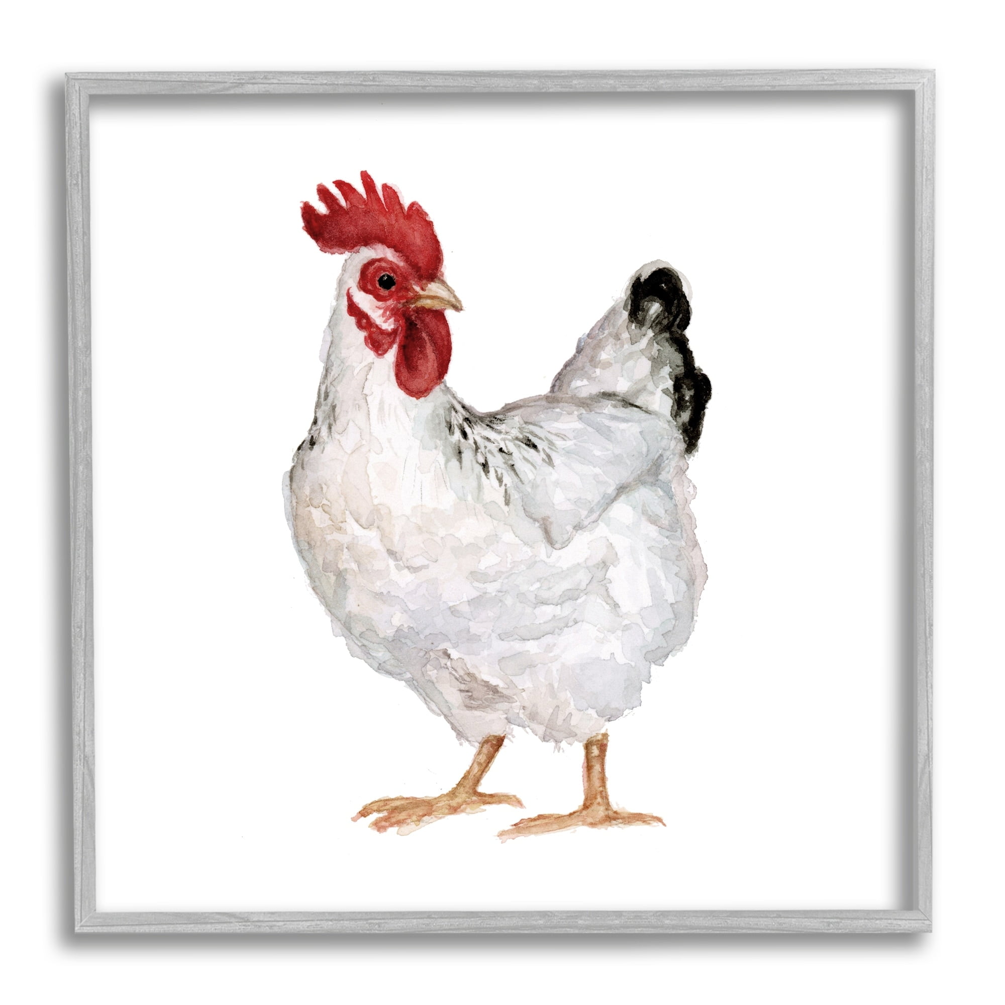 Stupell Industries Quaint Chicken Watercolor Painting Farm Hen Portrait, 17 x 17,Design by Fox Hollow Studios