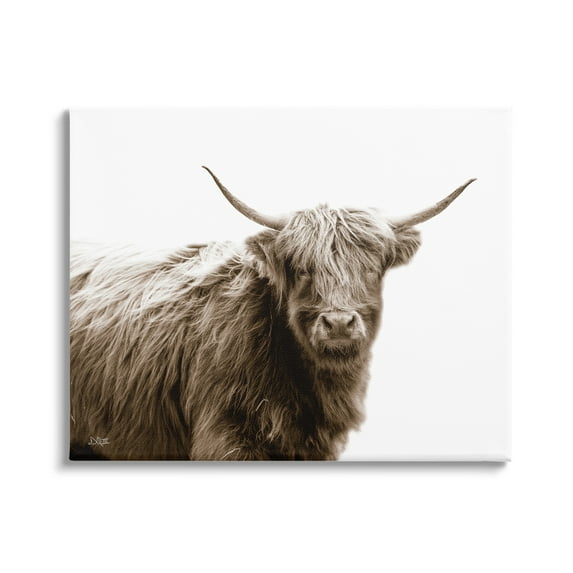 Stupell Industries Quaint Longhorn Cattle Country Animal Photography Canvas Wall Art, 20 x 16, Design by Donnie Quillen