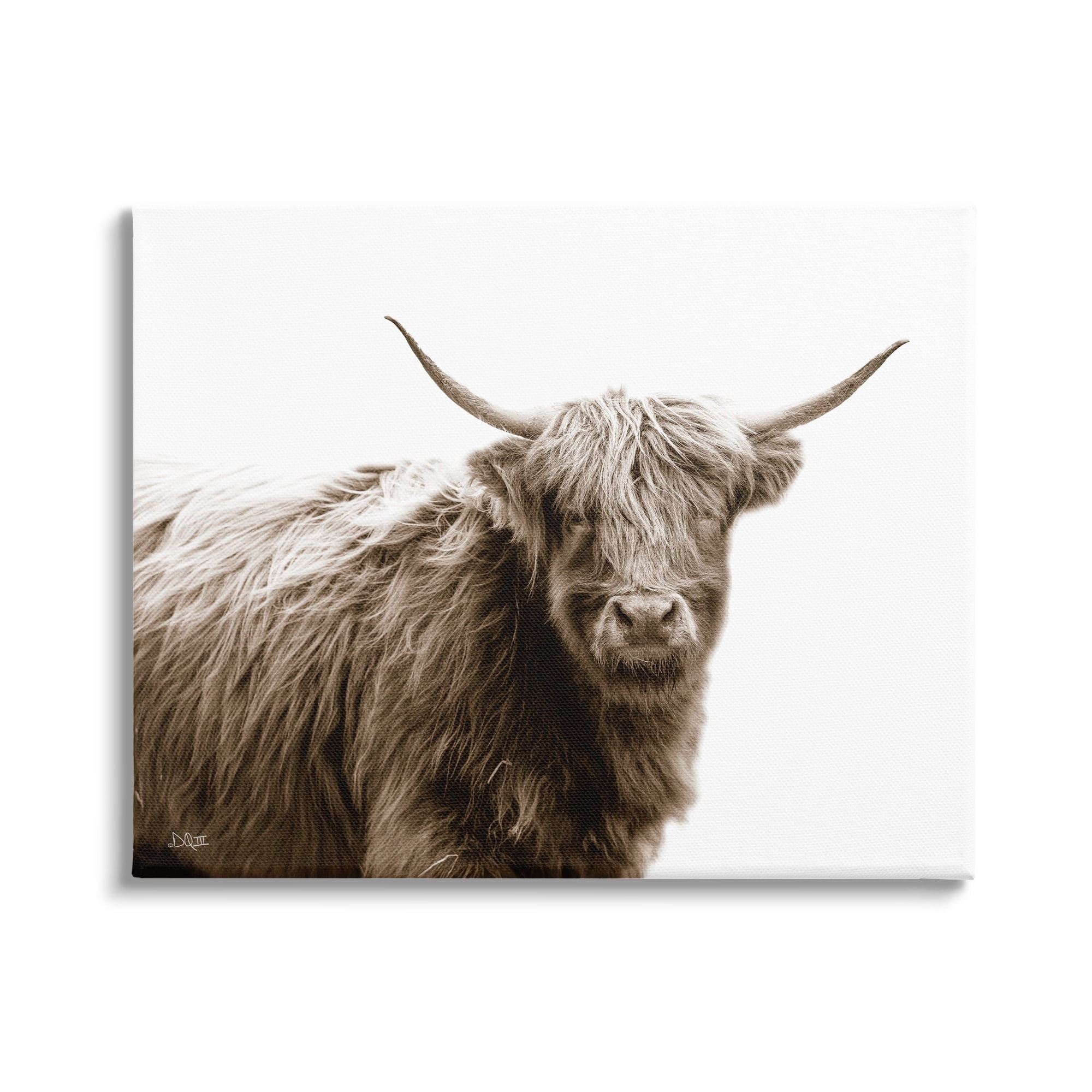 Stupell Industries Quaint Longhorn Cattle Country Animal Photography Canvas Wall Art, 40 x 30, Design by Donnie Quillen