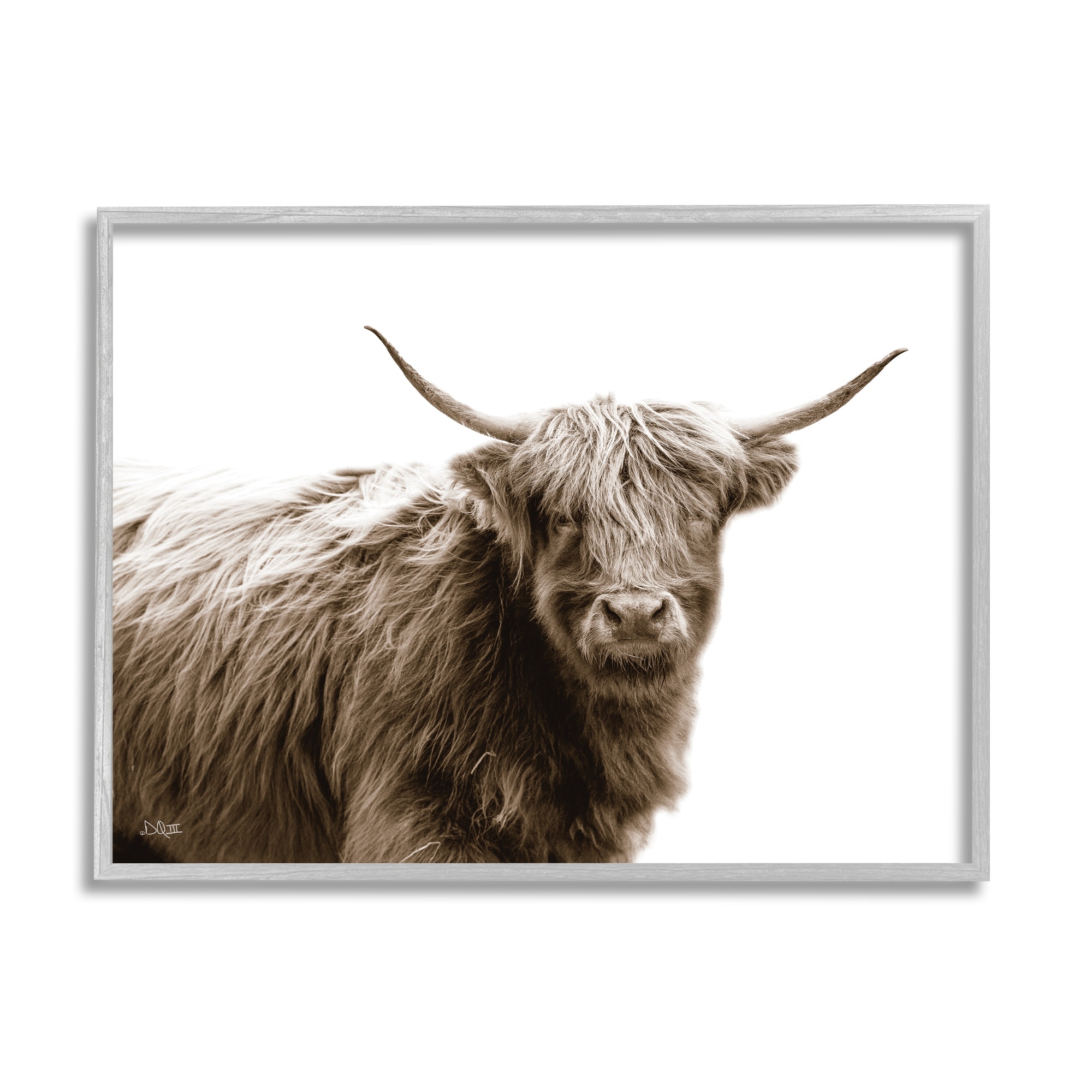 Stupell Industries Quaint Longhorn Cattle Country Animal Photography Framed Wall Art, 20 x 16, Design by Donnie Quillen