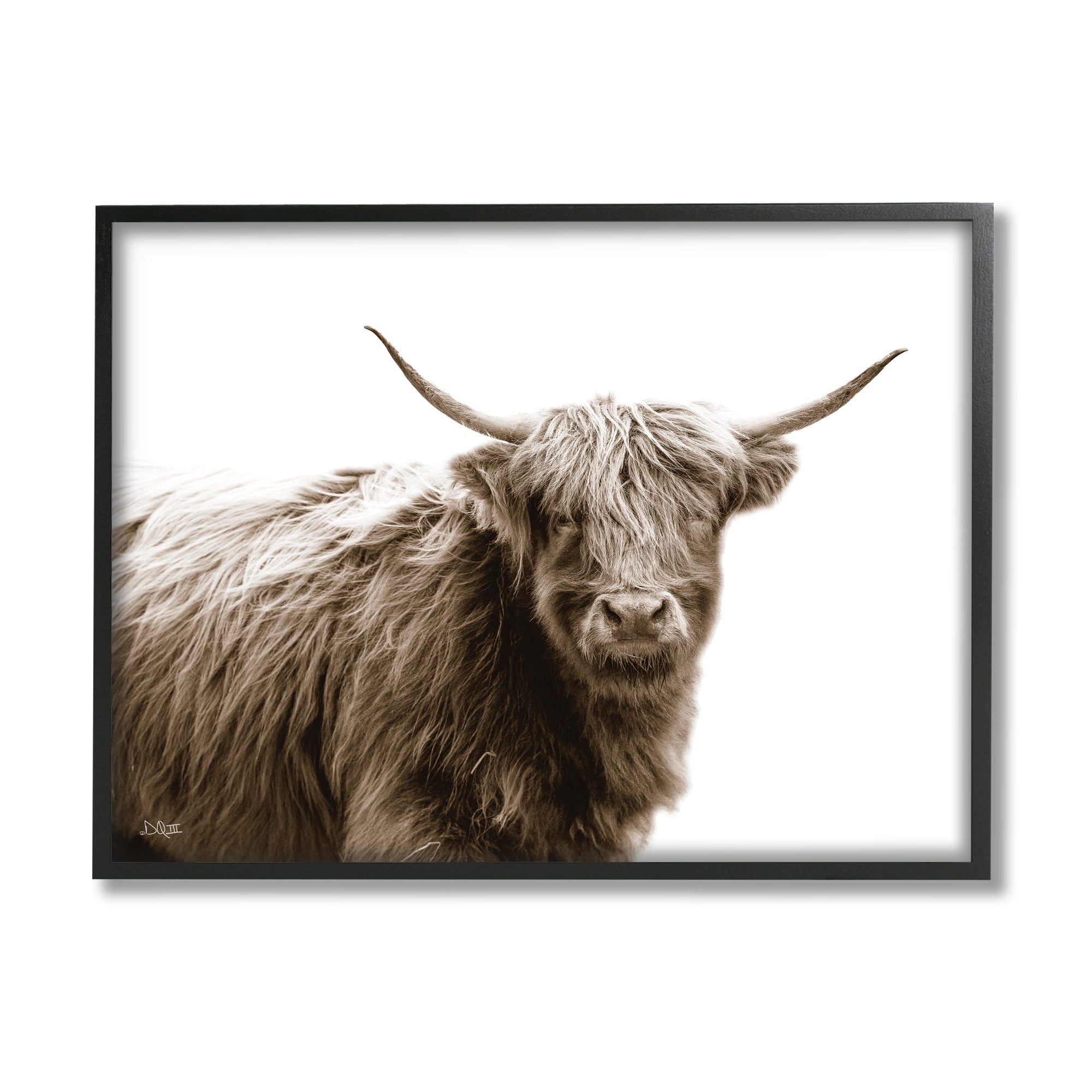 Stupell Industries Quaint Longhorn Cattle Country Animal Photography Framed Wall Art, 20 x 16, Design by Donnie Quillen