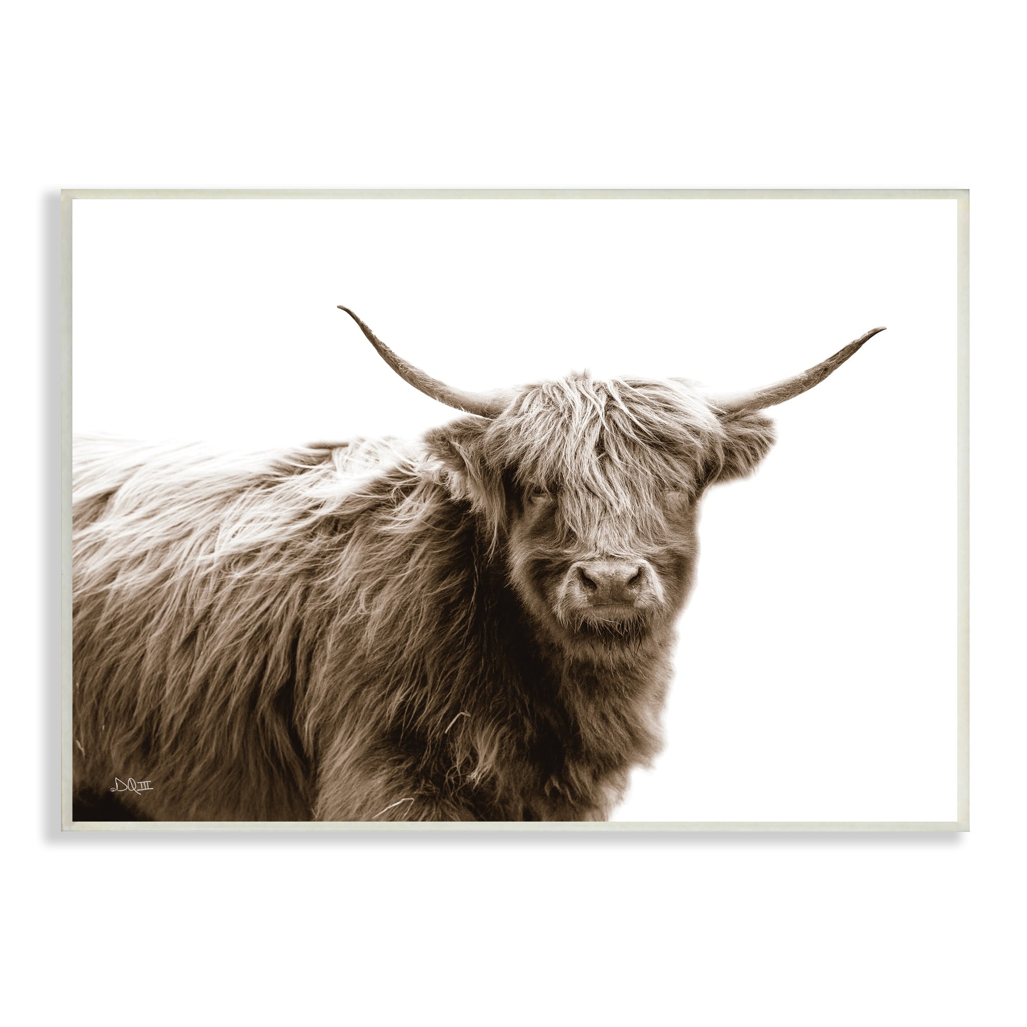 Stupell Industries Quaint Longhorn Cattle Country Animal Photography Wood Wall Art, 19 x 13, Design by Donnie Quillen