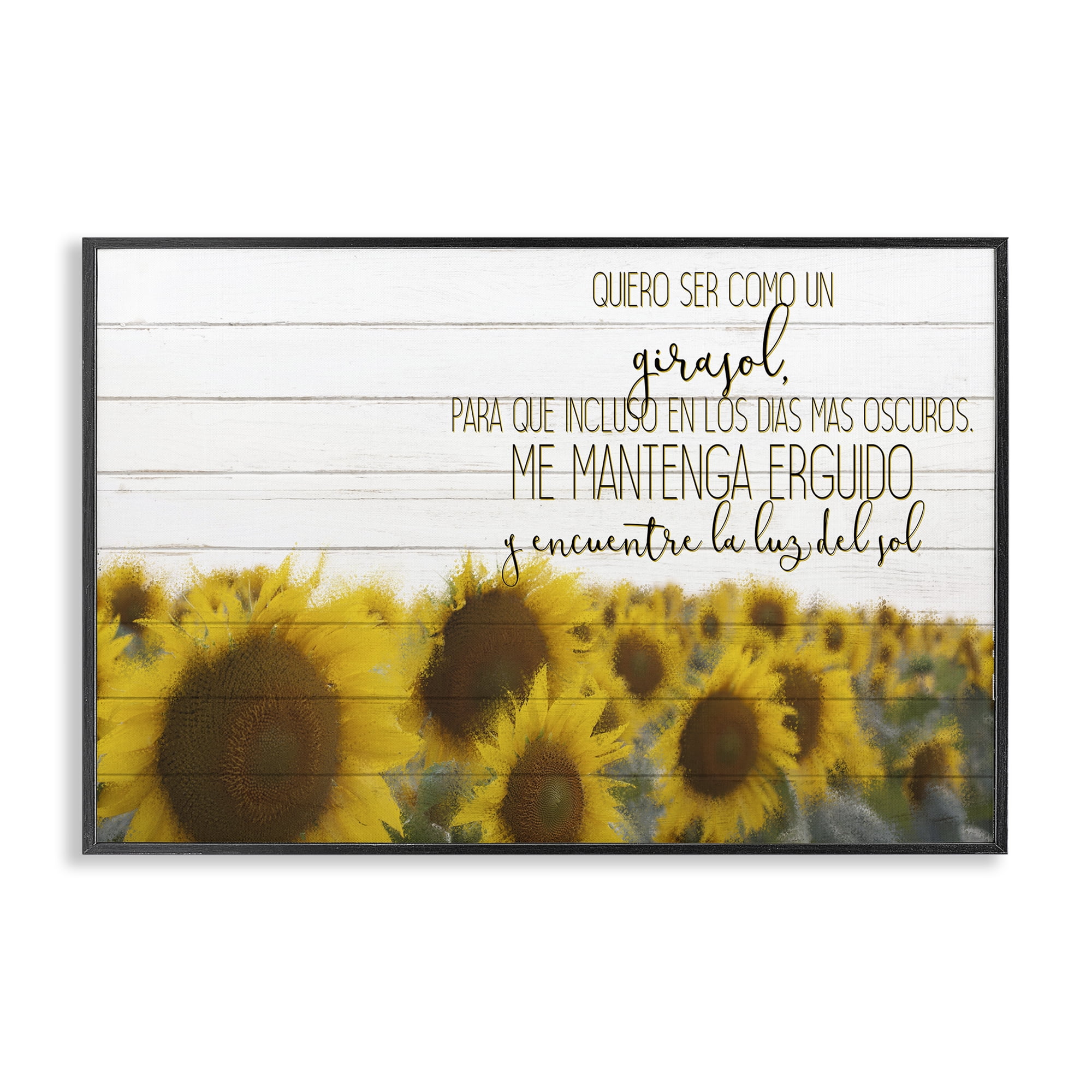 Stupell Industries Quiero Ser Como un Girasol Inspirational Quotes & Sayings Painting Black Framed Art Print Wall Art, 24 x 16