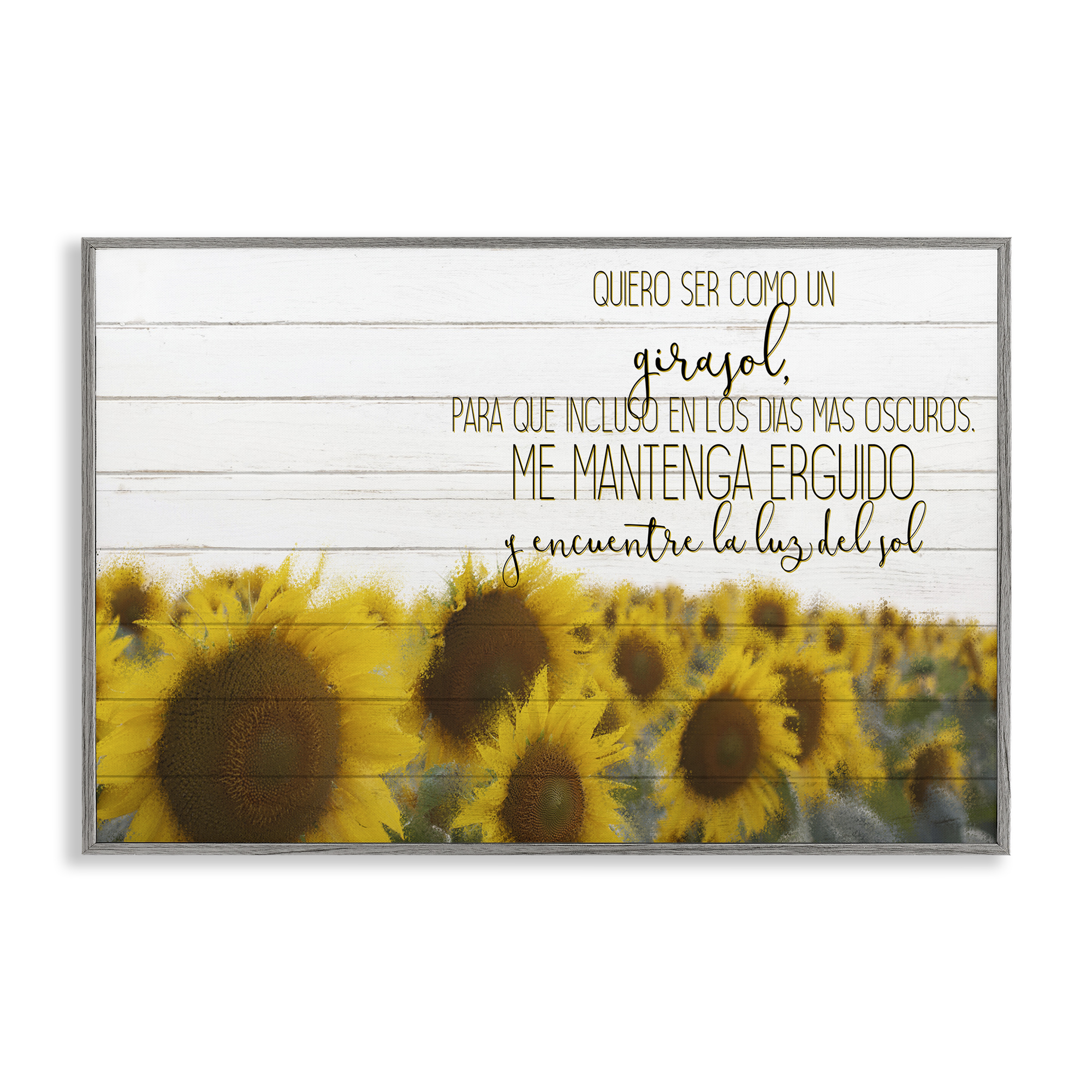 Stupell Industries Quiero Ser Como un Girasol Inspirational Quotes & Sayings Painting Gray Framed Art Print Wall Art, 30 x 20