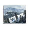 thumbnail image 1 of Stupell Industries Quiet Snowy Mountain Slopes Scattered Fir Trees Photograph Gallery Wrapped Canvas Print Wall Art, Design by Steve Smith, 1 of 5