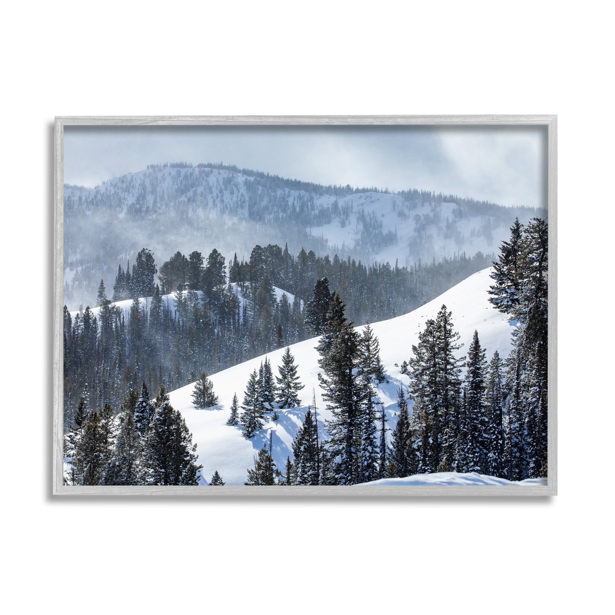 Stupell Industries Quiet Snowy Mountain Slopes Scattered Fir Trees Photograph Gray Framed Art Print Wall Art, Design by Steve Smith