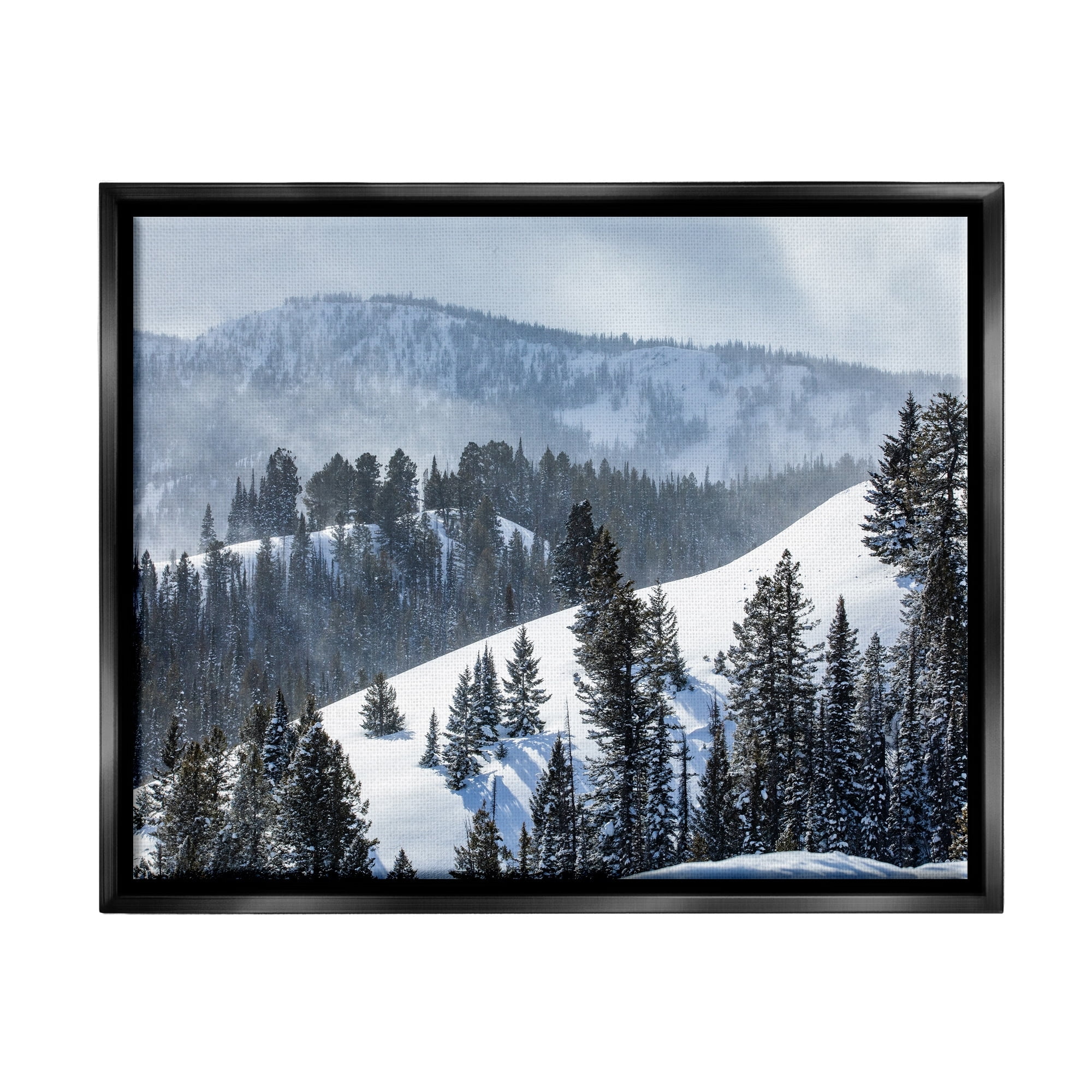 Stupell Industries Quiet Snowy Mountain Slopes Scattered Fir Trees Photograph Jet Black Floating Framed Canvas Print Wall Art, Design by Steve Smith