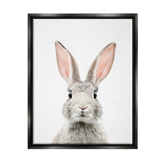 Stupell Industries Rabbit Face Portrait Animals & Insects Painting Black Floater Framed Art Print Wall Art, 17 x 21