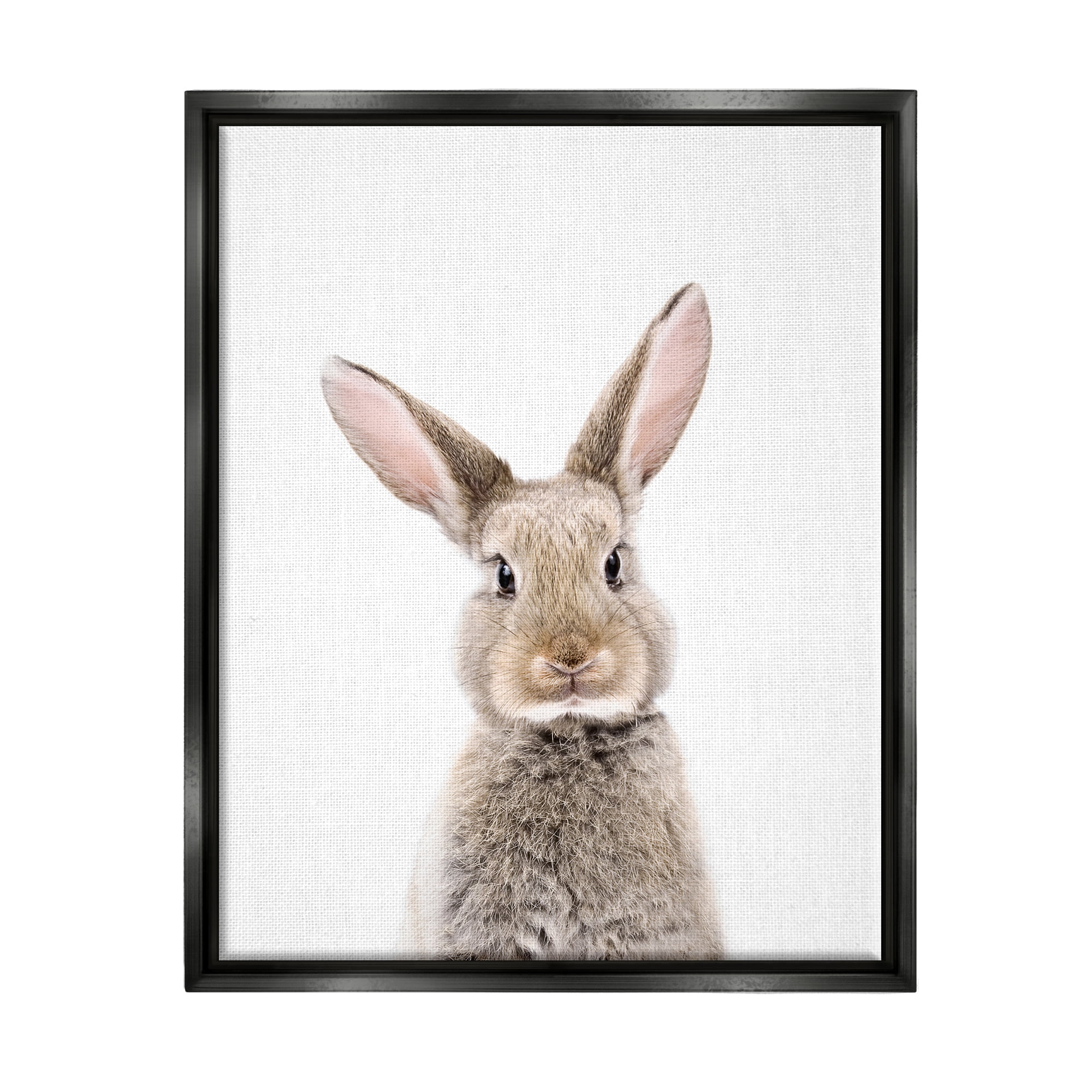 Stupell Industries Rabbit Face Portrait Animals & Insects Painting Black Floater Framed Art Print Wall Art, 17 x 21