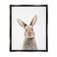 thumbnail image 1 of Stupell Industries Rabbit Face Portrait Animals & Insects Painting Black Floater Framed Art Print Wall Art, 17 x 21, 1 of 9