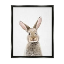 Stupell Industries Rabbit Face Portrait Animals & Insects Painting Black Floater Framed Art Print Wall Art, 17 x 21